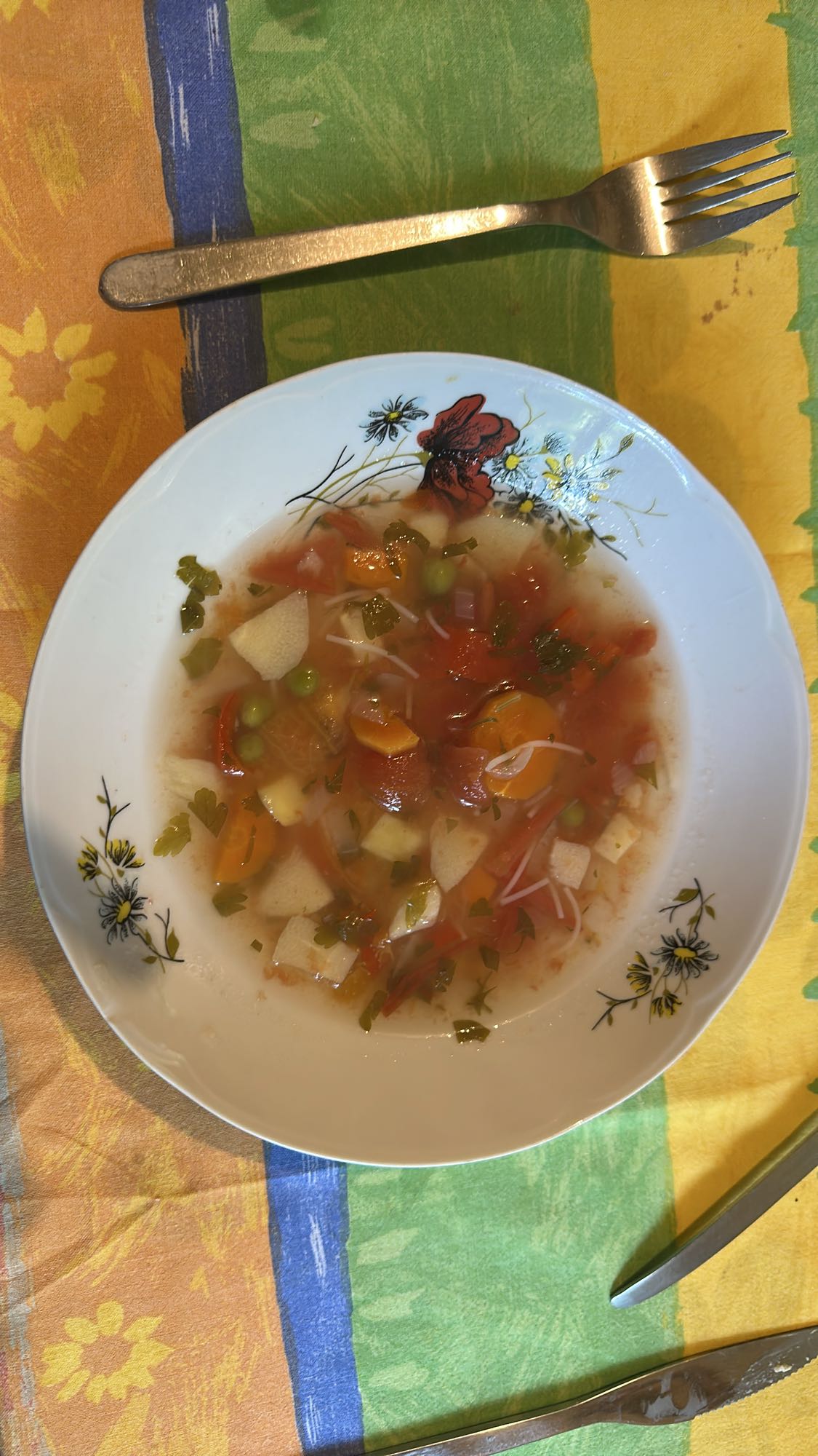 Vegetable Soup