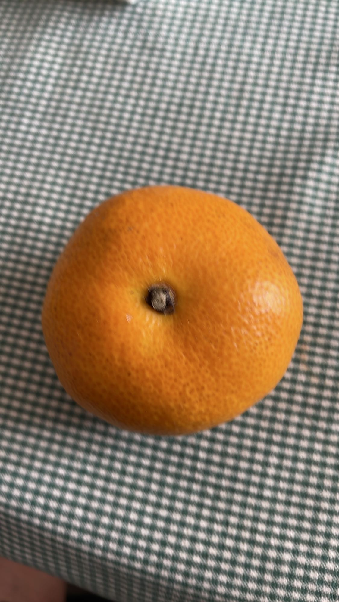 Mandarină proaspătă