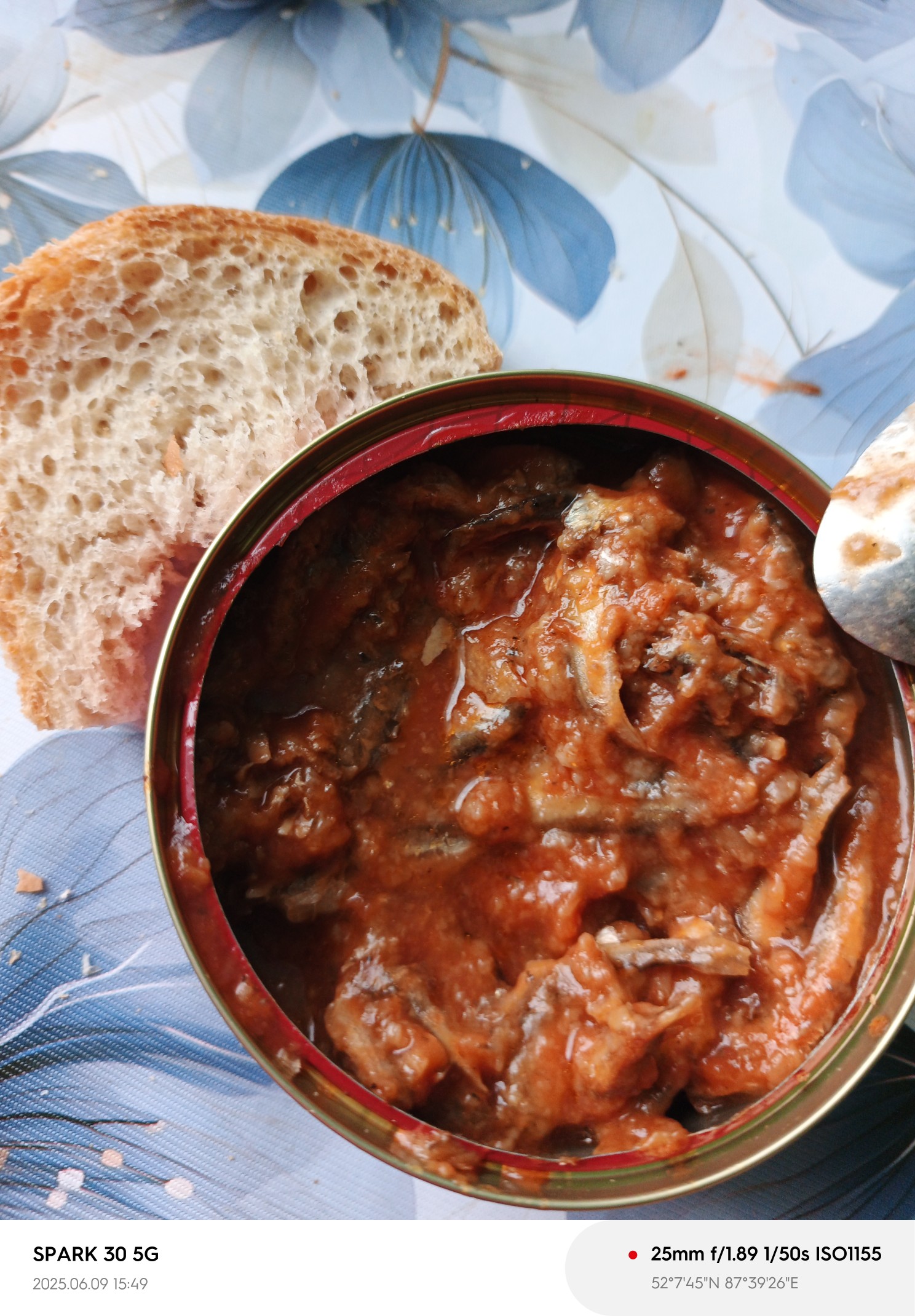 Sardines in tomato with bread