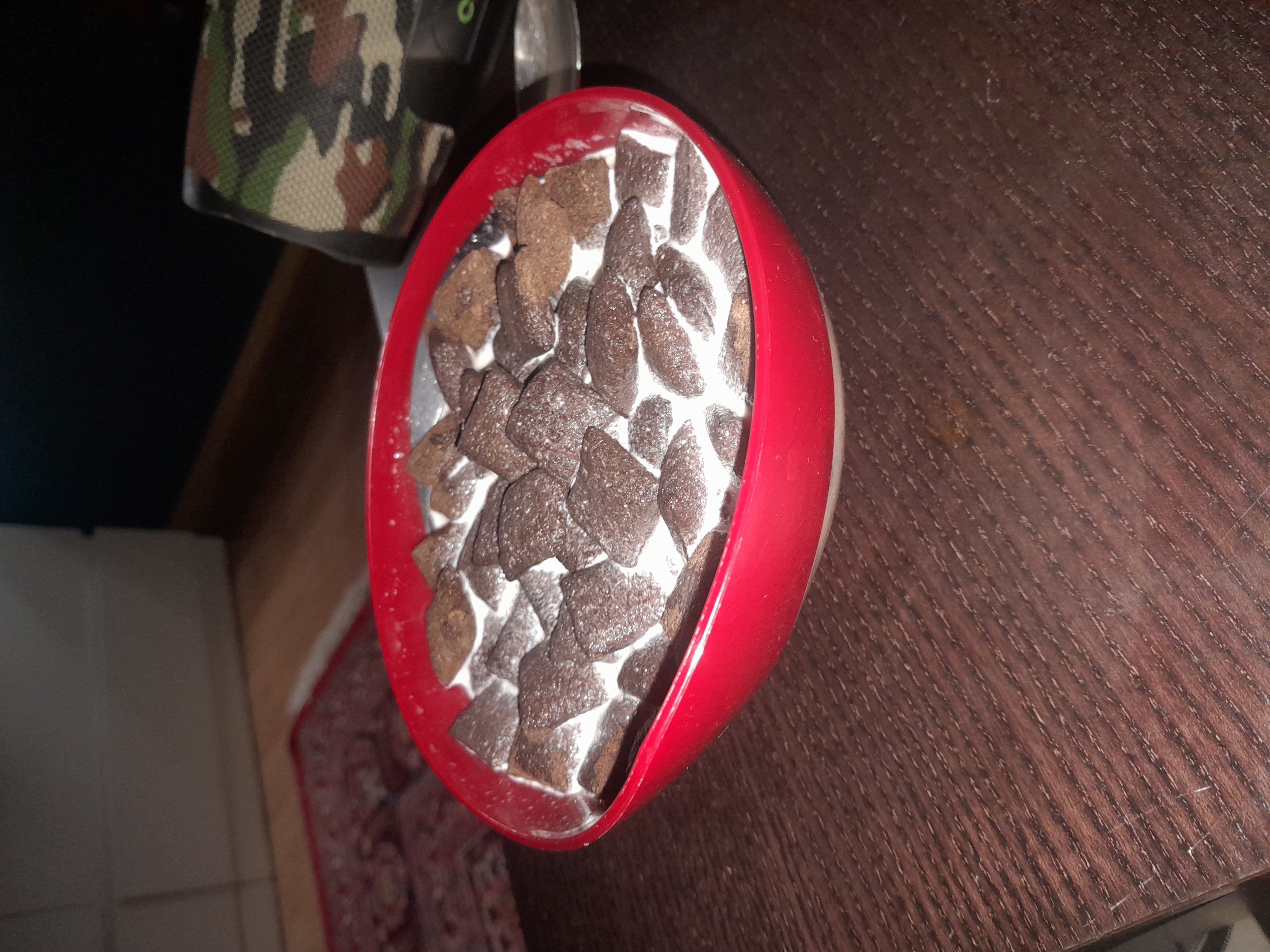 Köpek maması kasesi