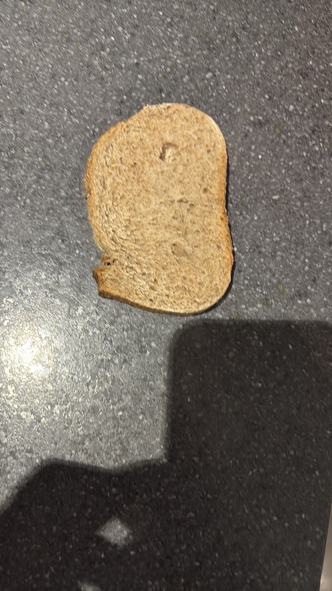 Tranche de pain complet