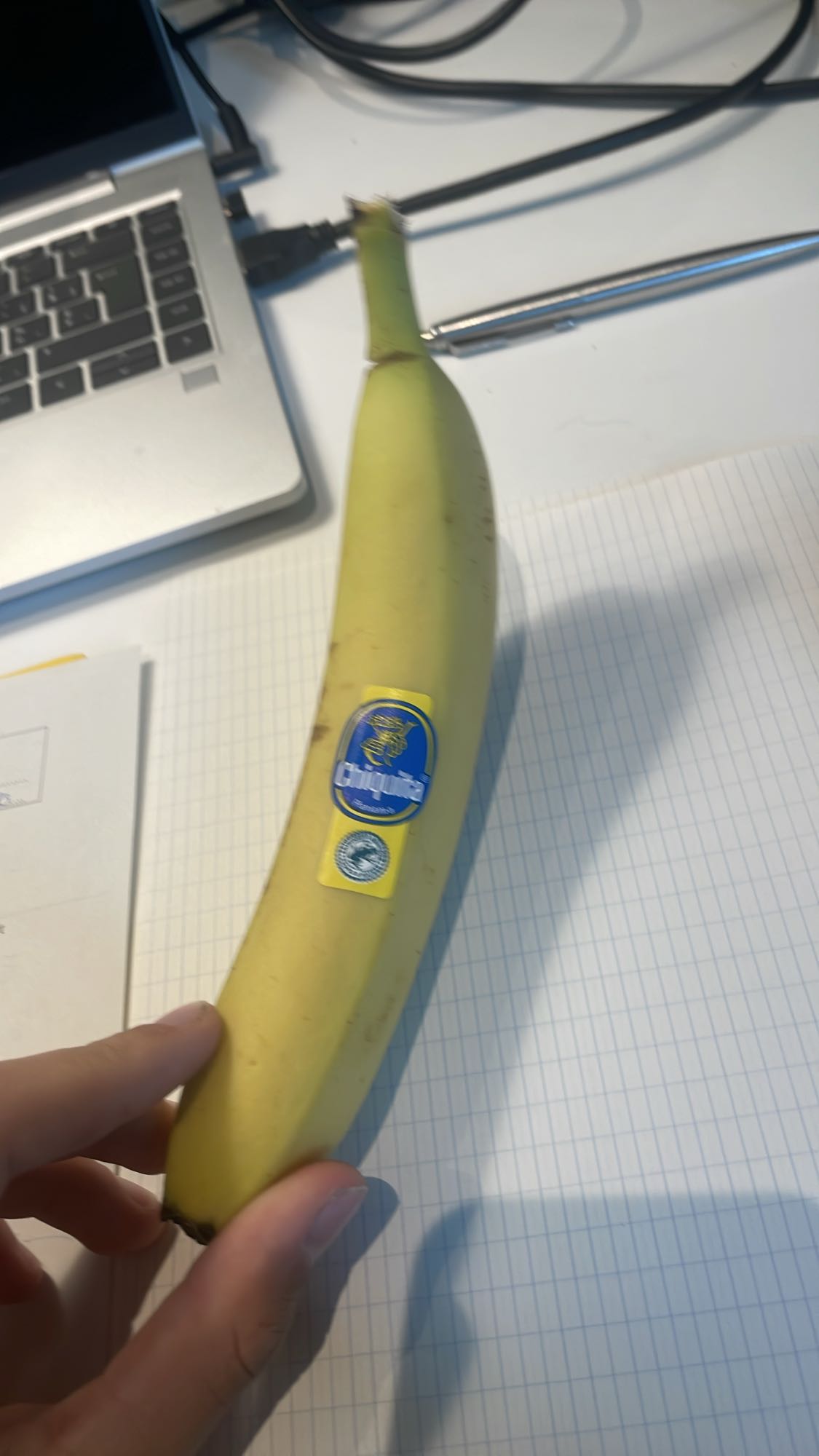 Banaan