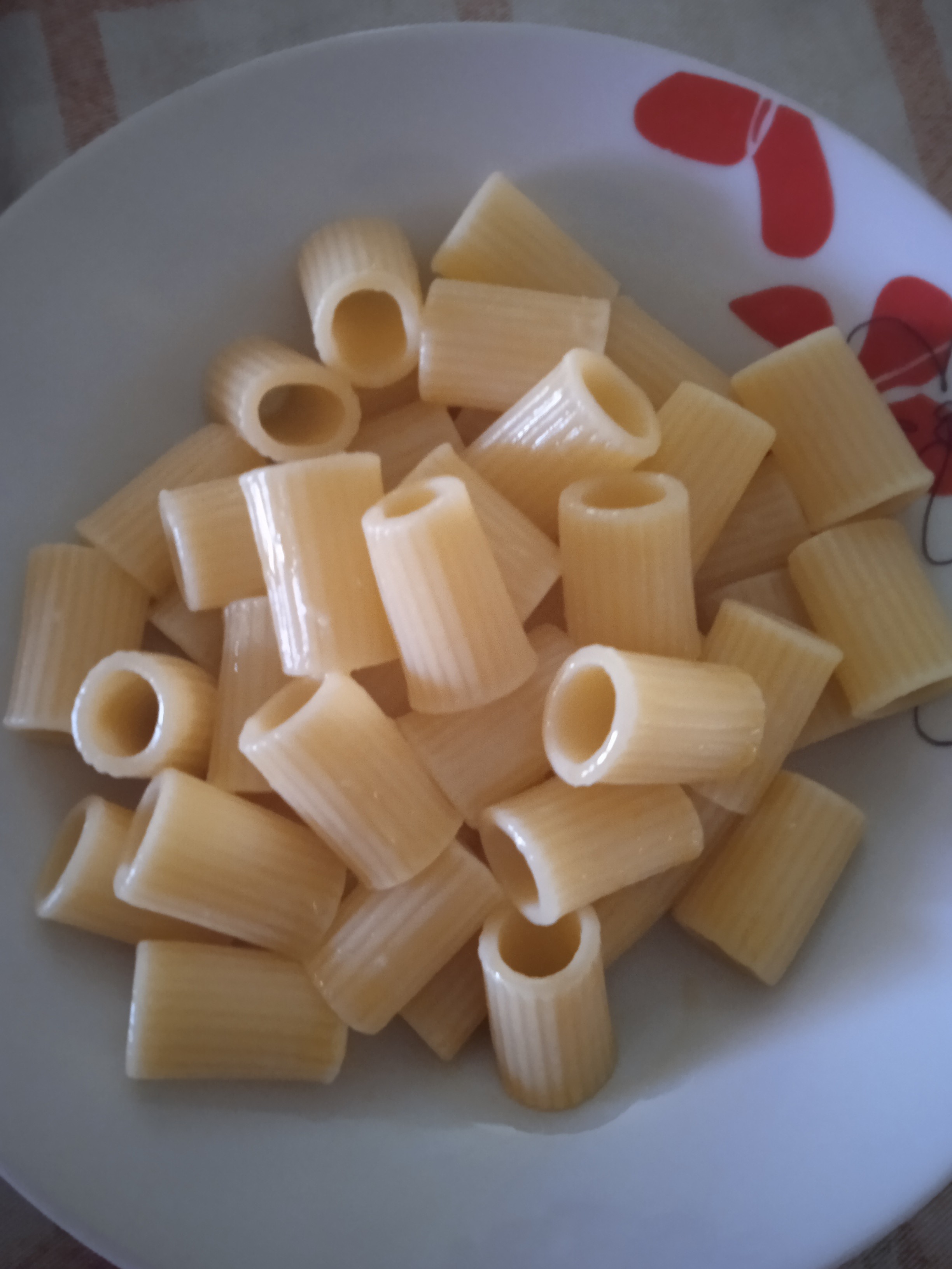 Plain rigatoni pasta