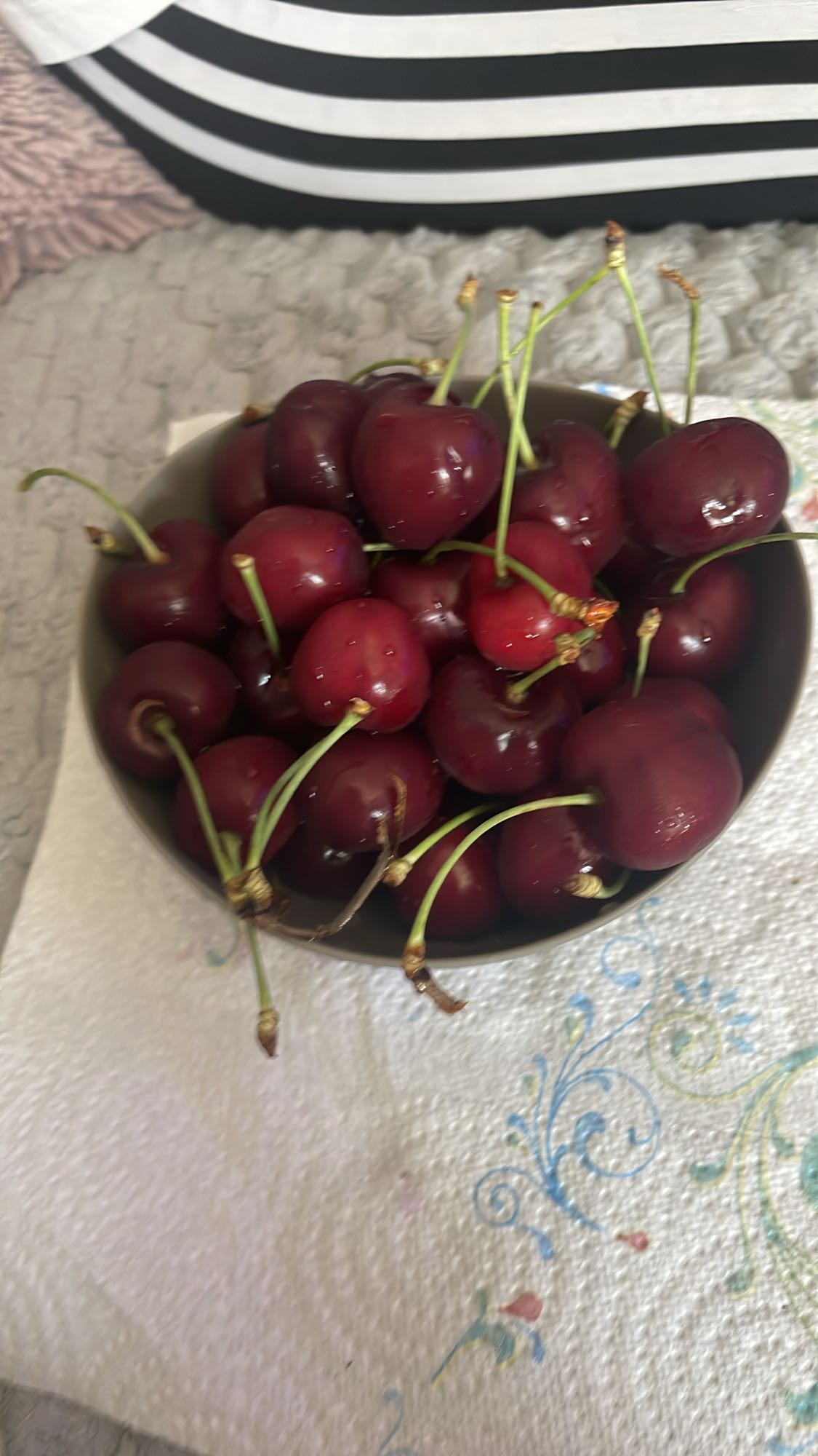 Bol de cerises fraîches