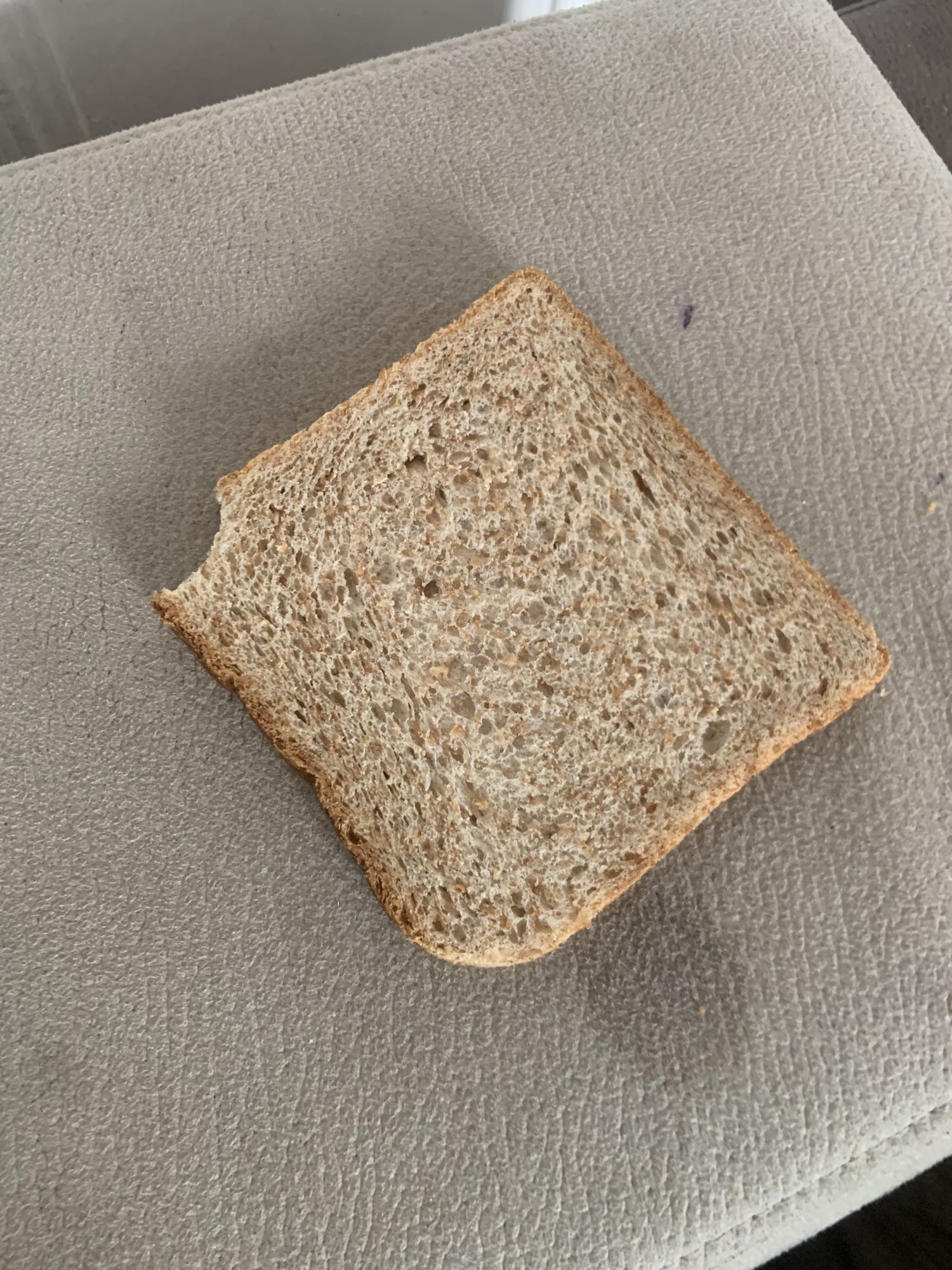 Tranche de pain complet