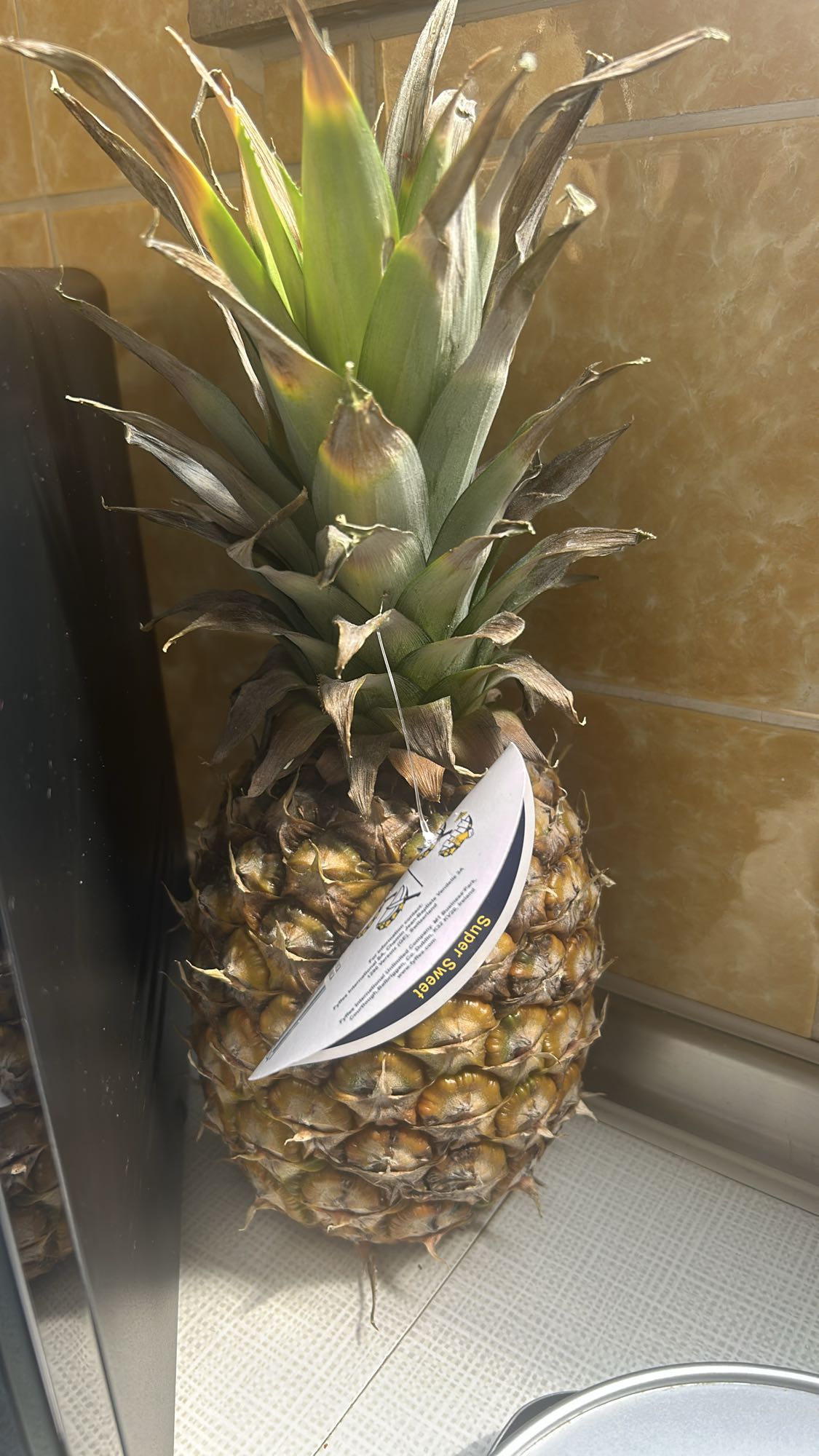 Ananas