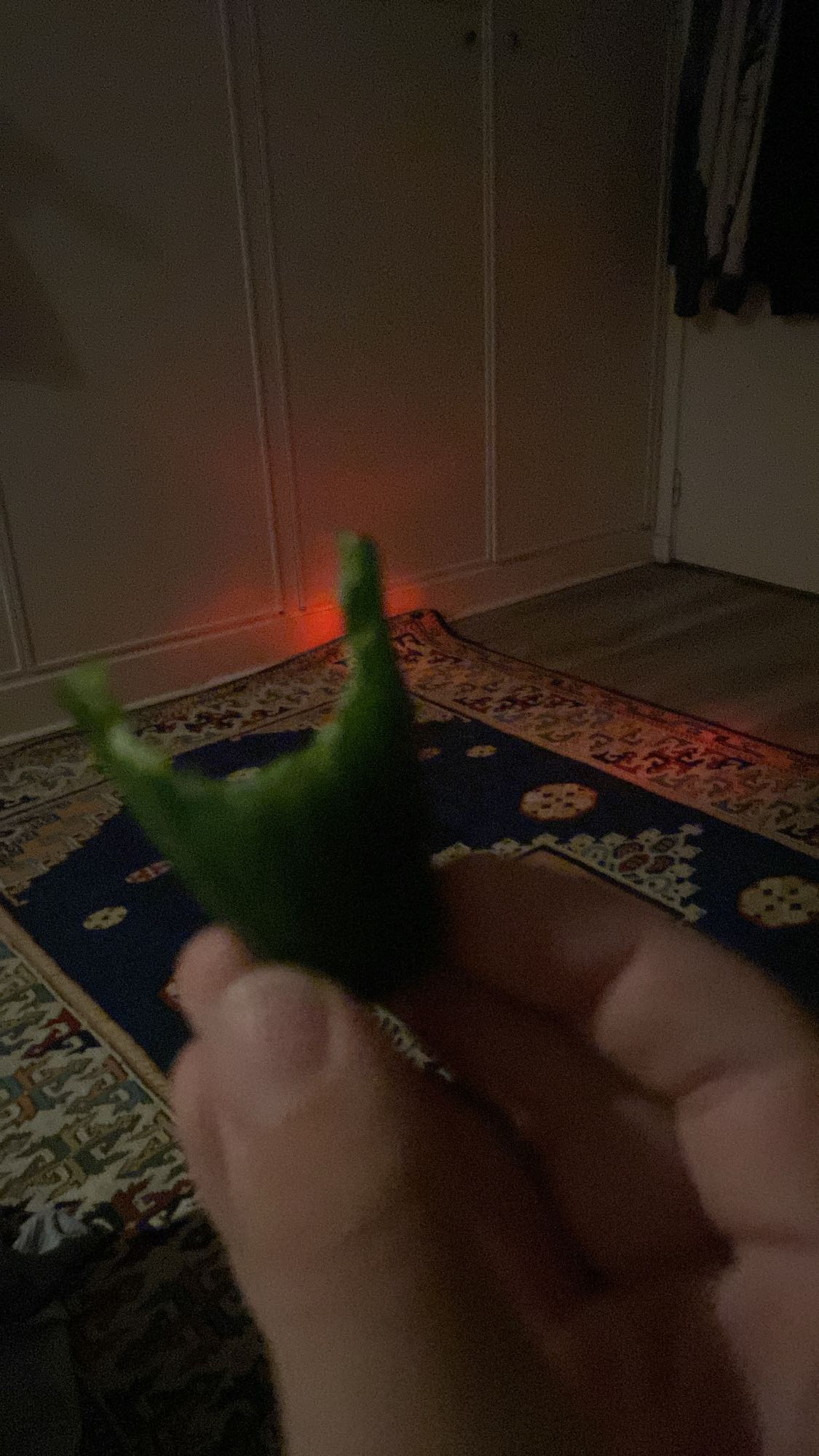 Poivron vert croqué