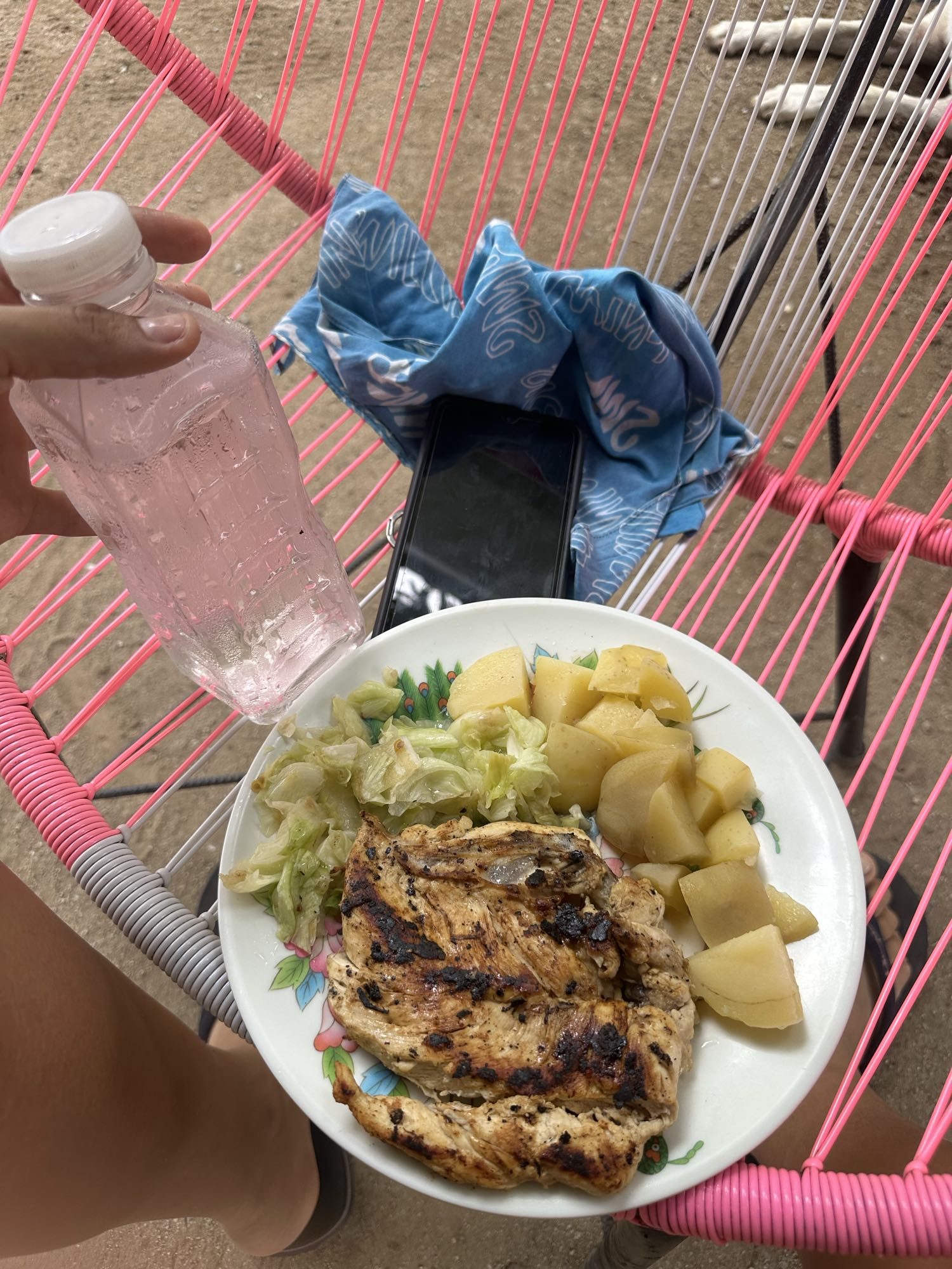 Pollo con papas y repollo