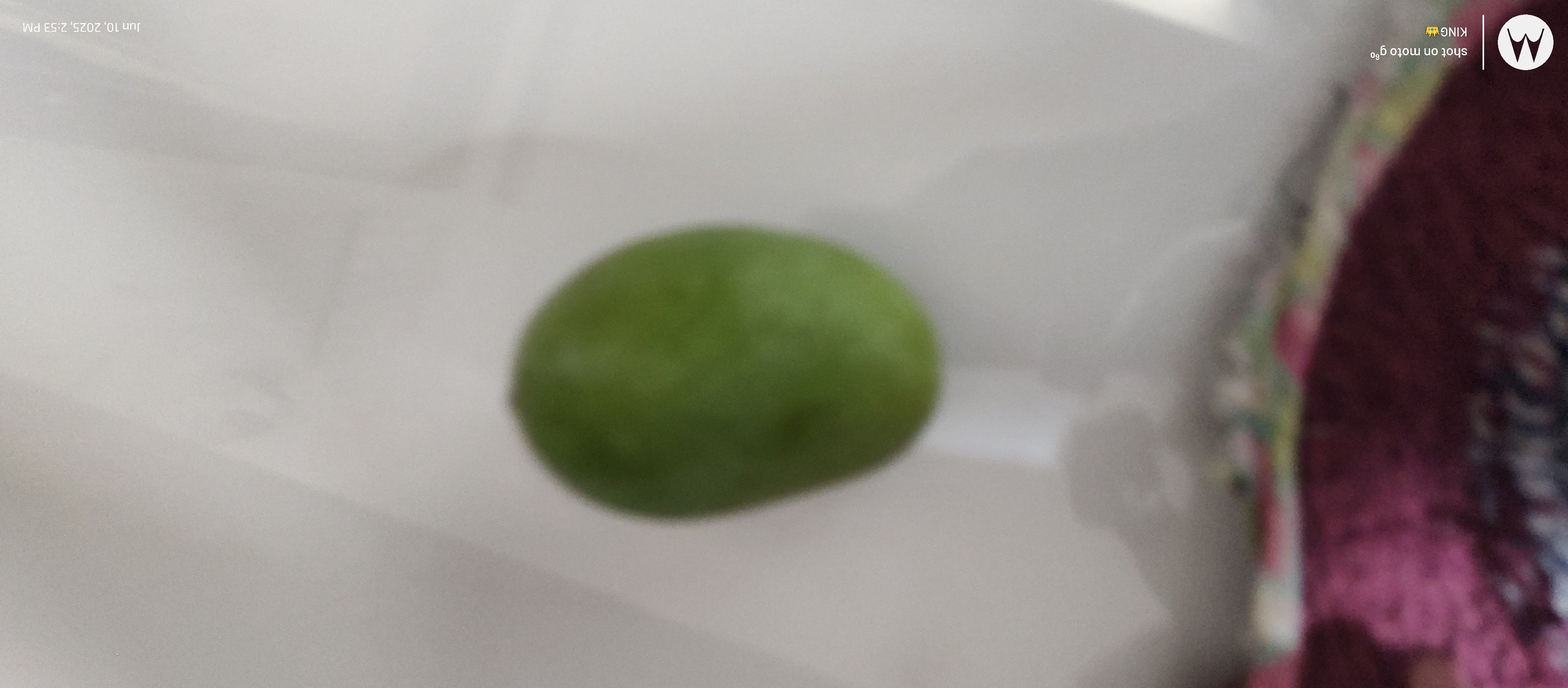 Single green grape