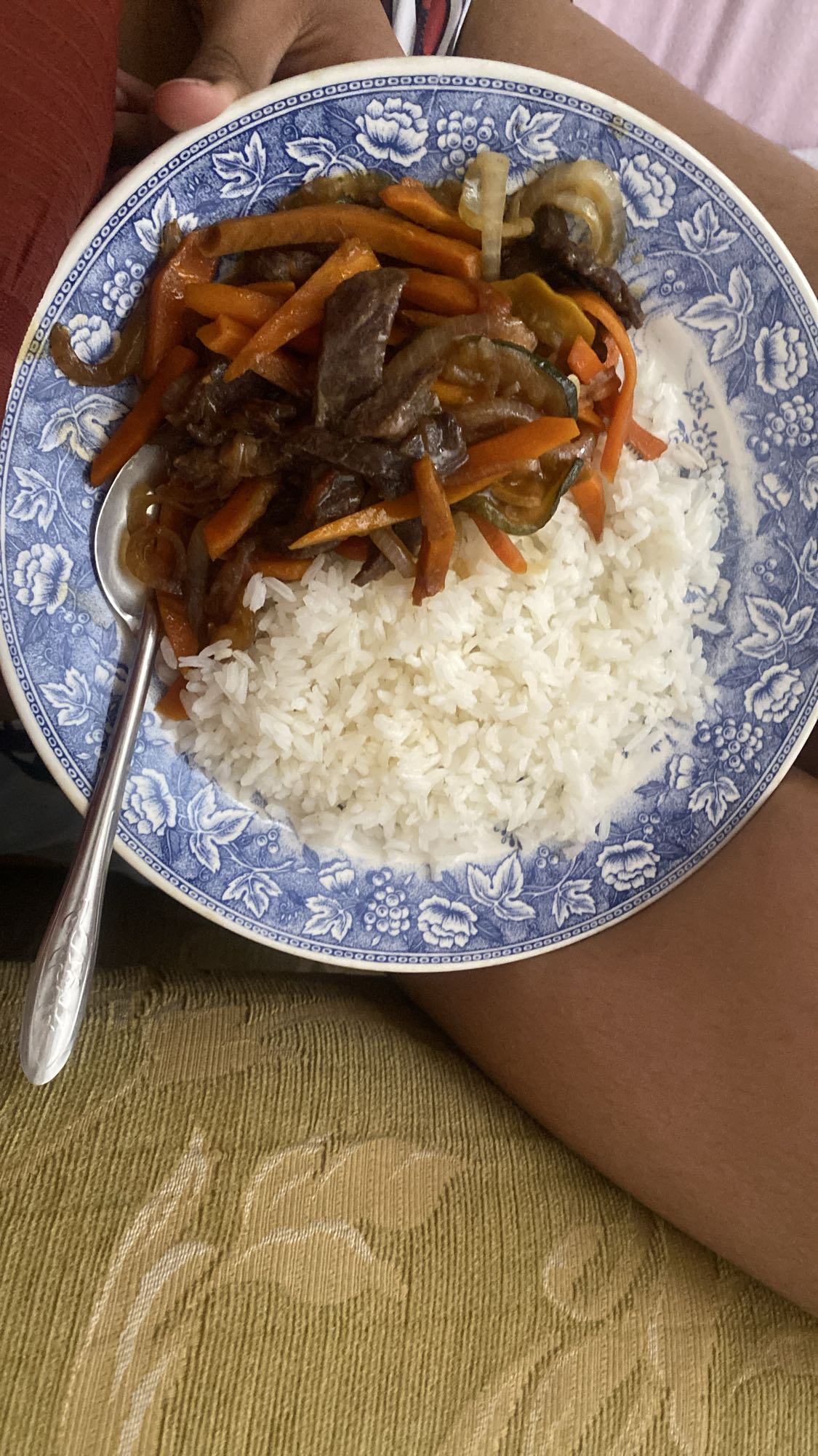 arroz con carne y verduras