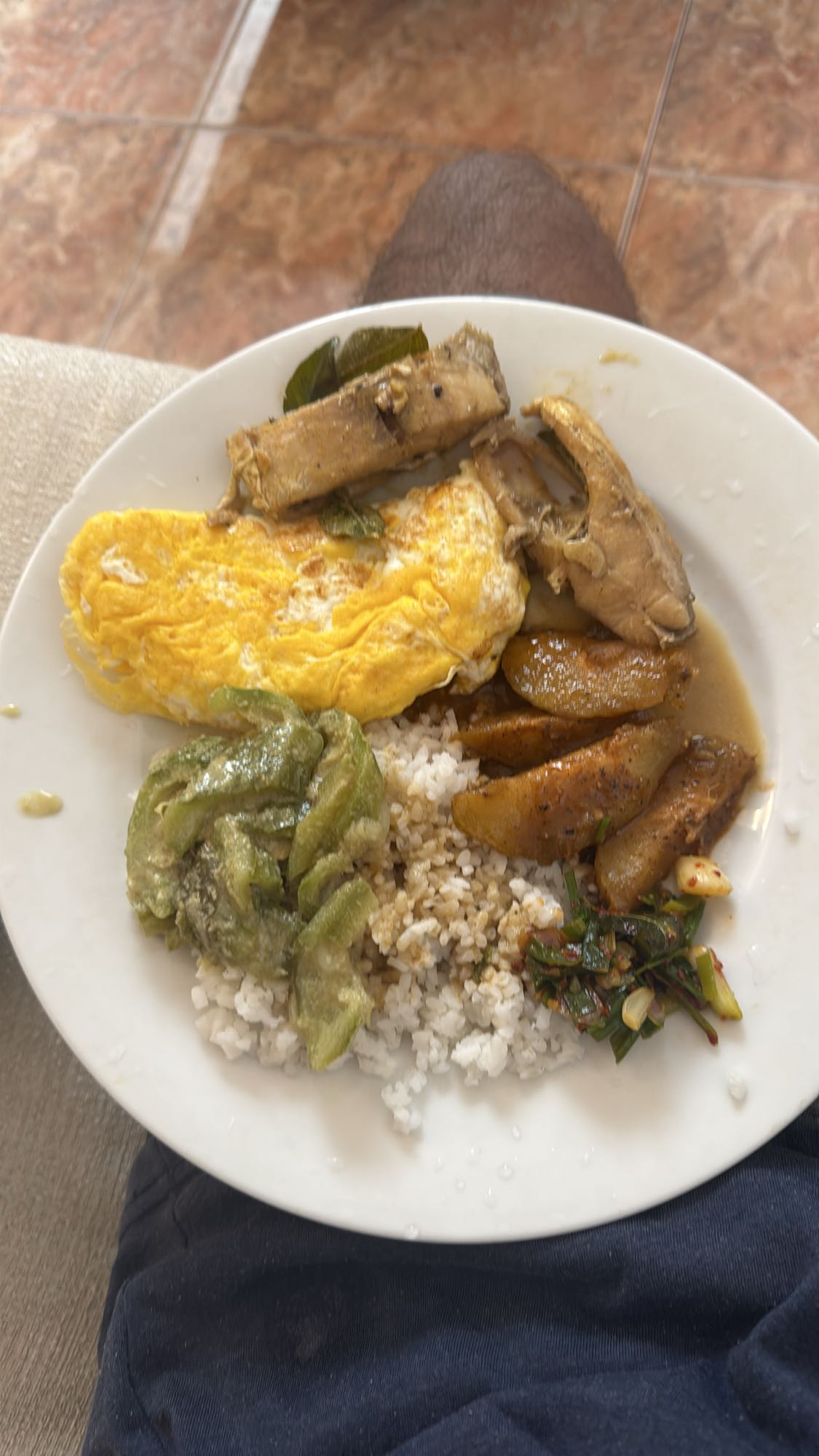 Rice, Egg & Chicken Plate