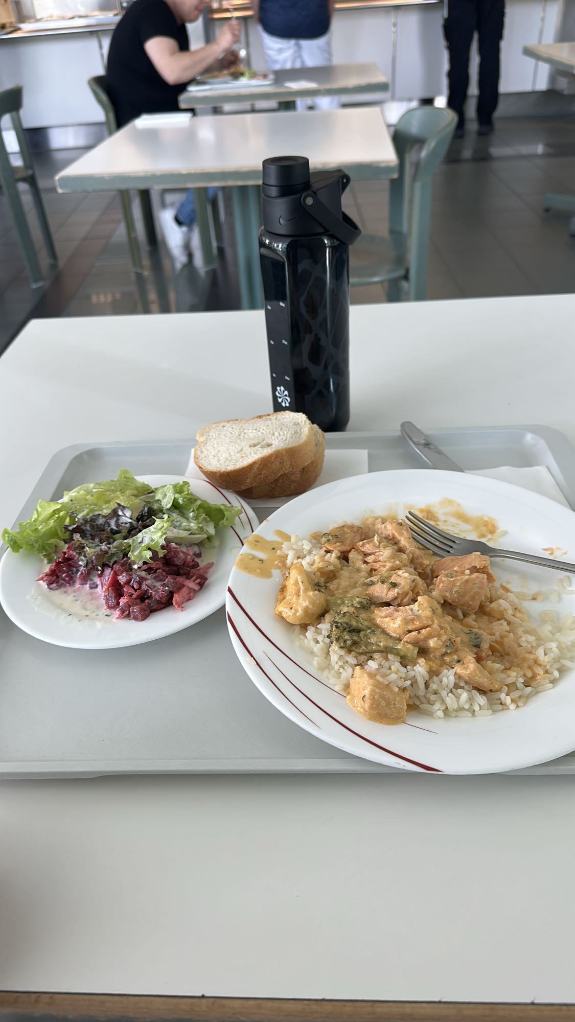 Tavuklu pilav ve salata