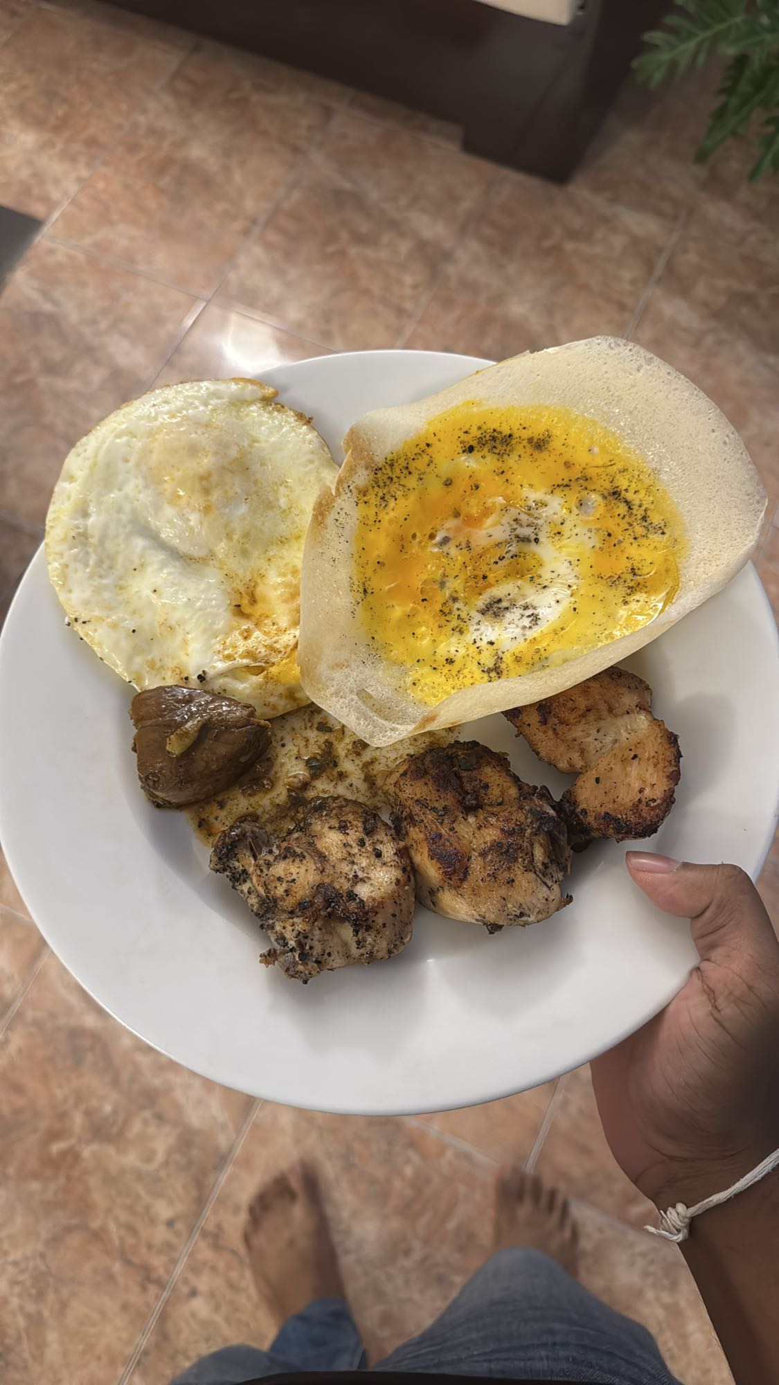Egg and Chicken Plate