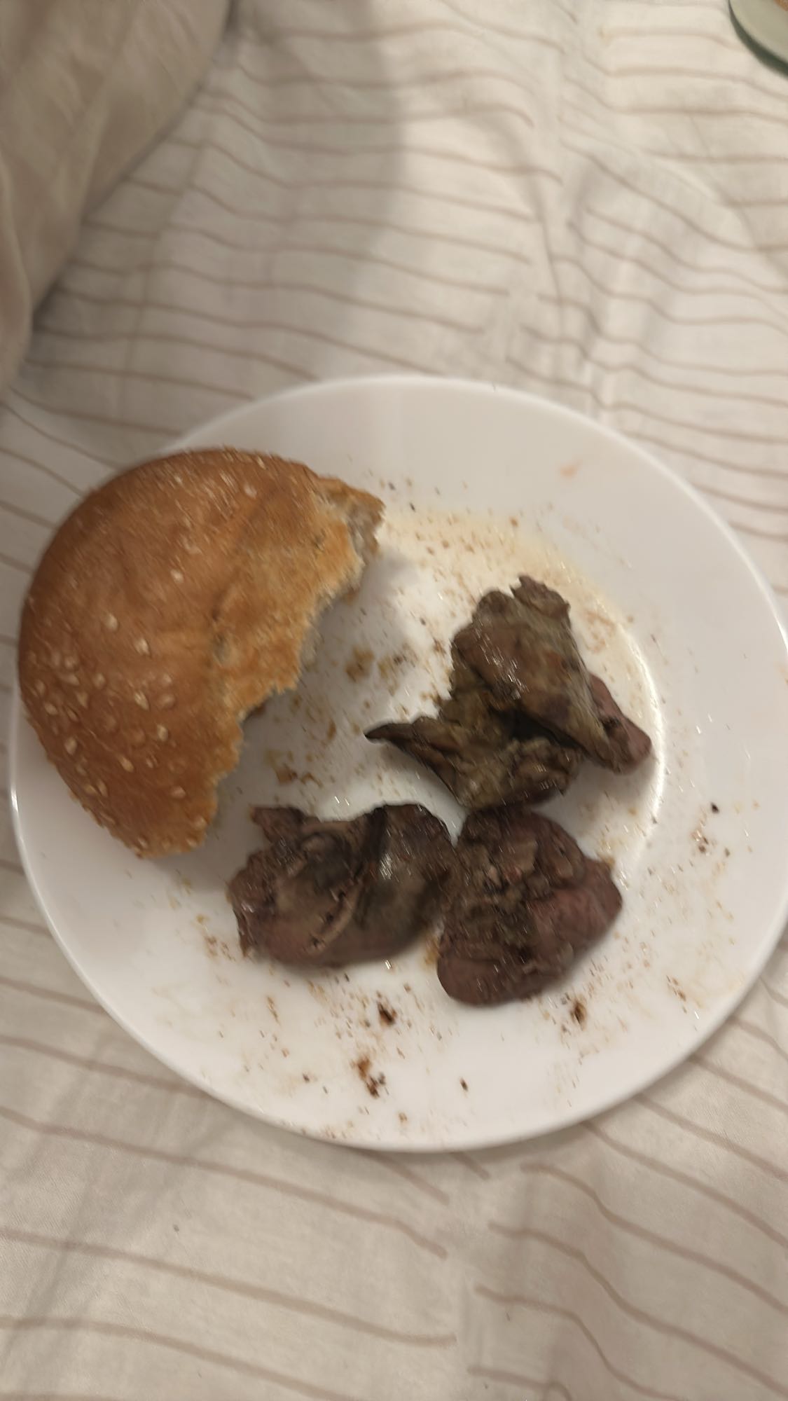 Liver and bun plate