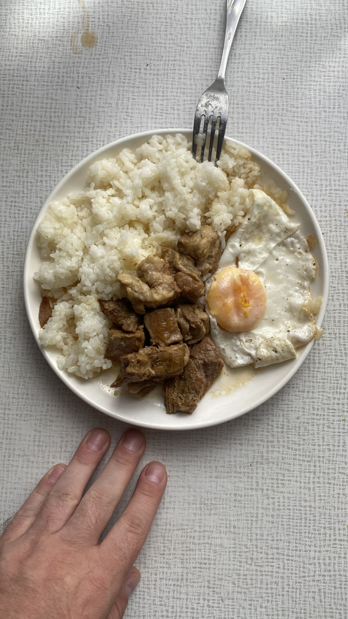 Рис с тушеной свининой и яйцом