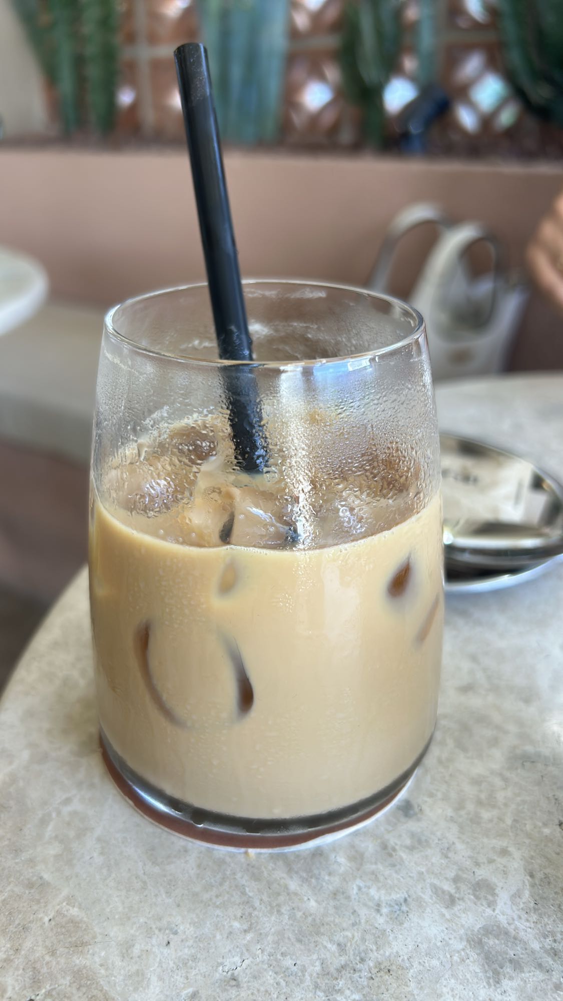 Buzlu Sütlü Kahve