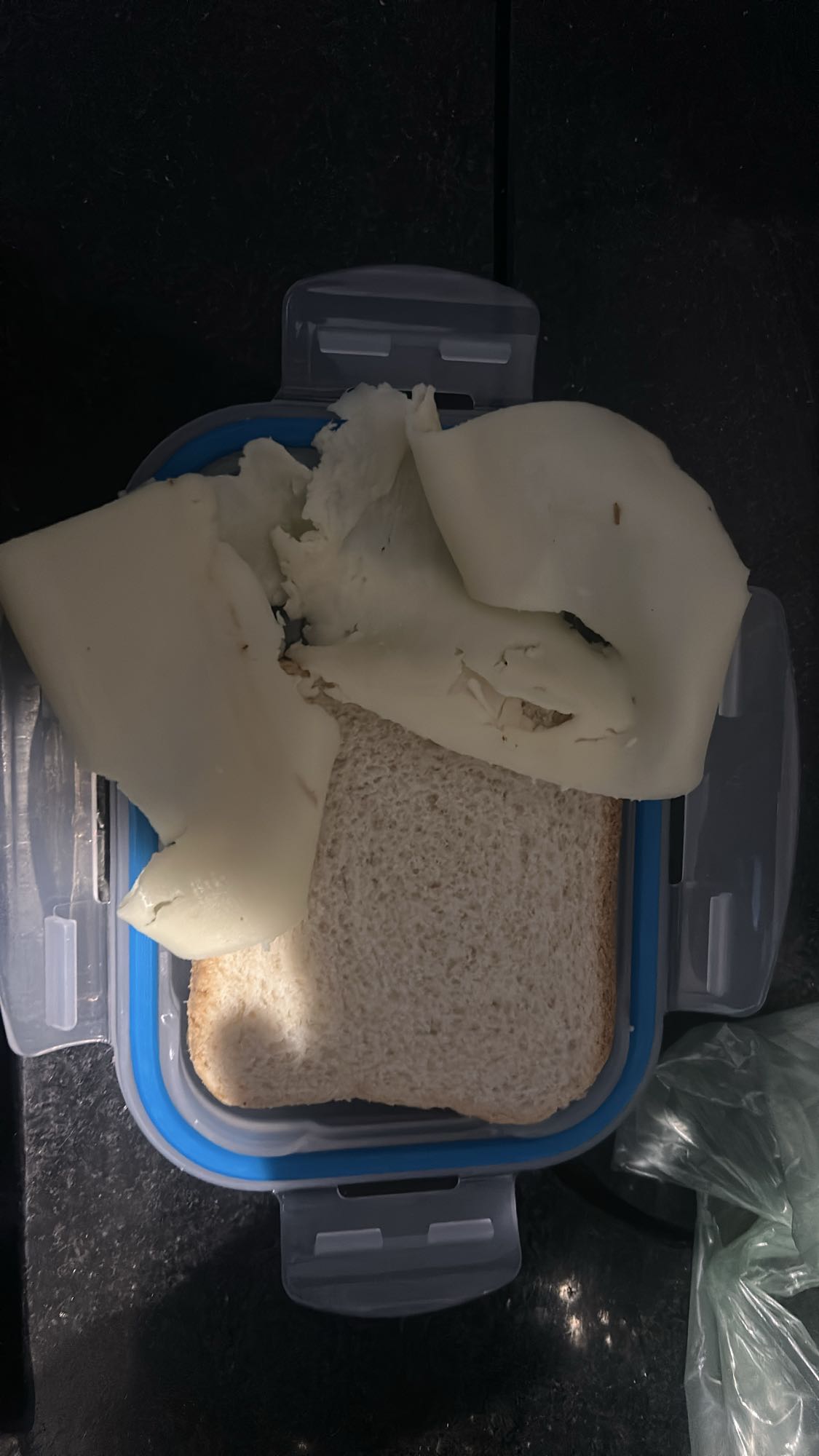 Sanduíche de queijo