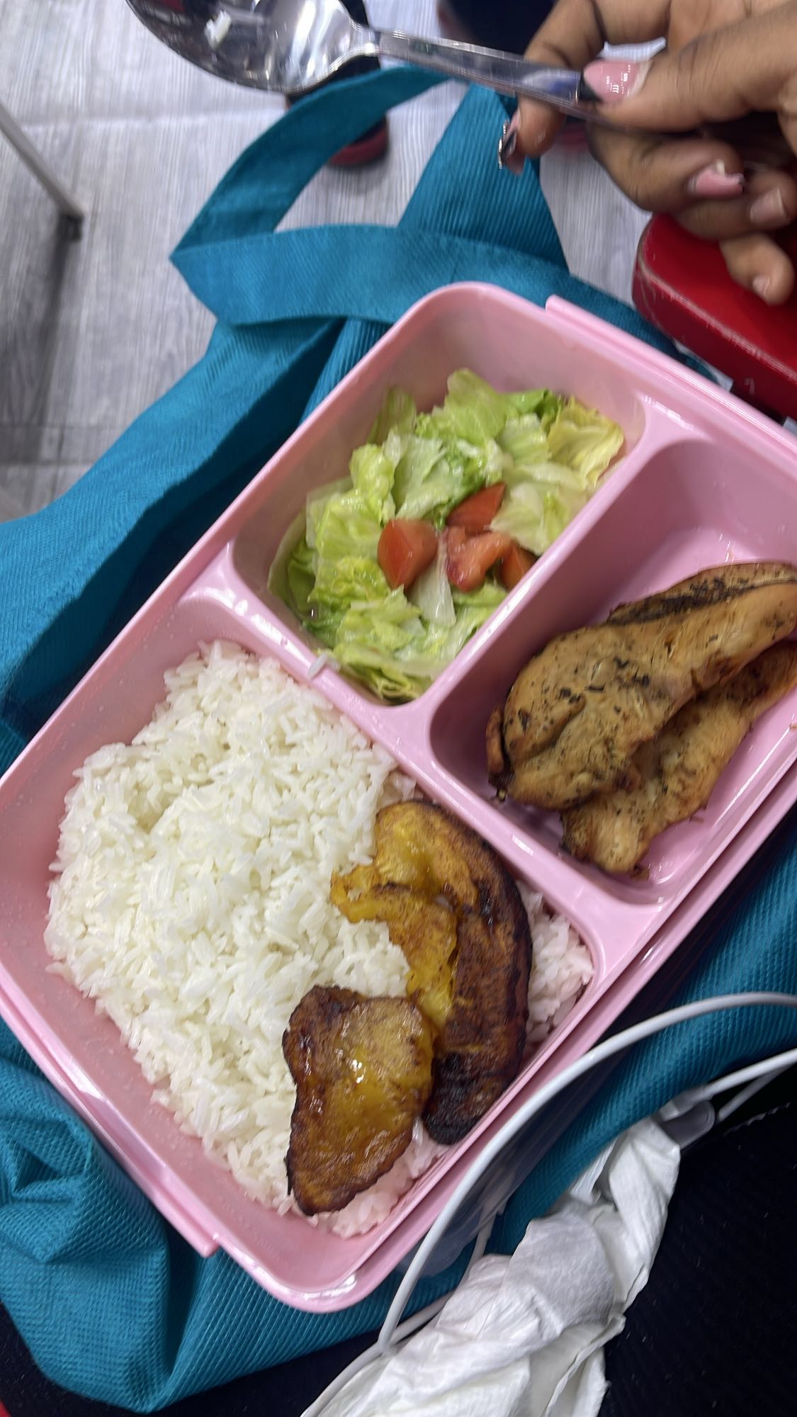 Pollo con arroz y ensalada