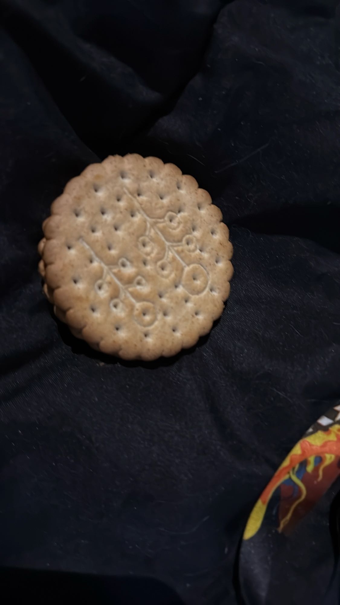 biscuit sec