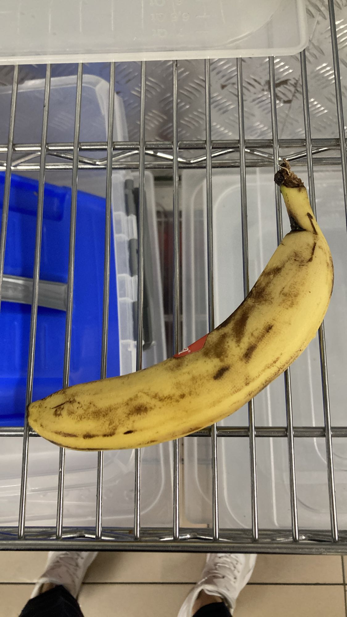 Single Banana