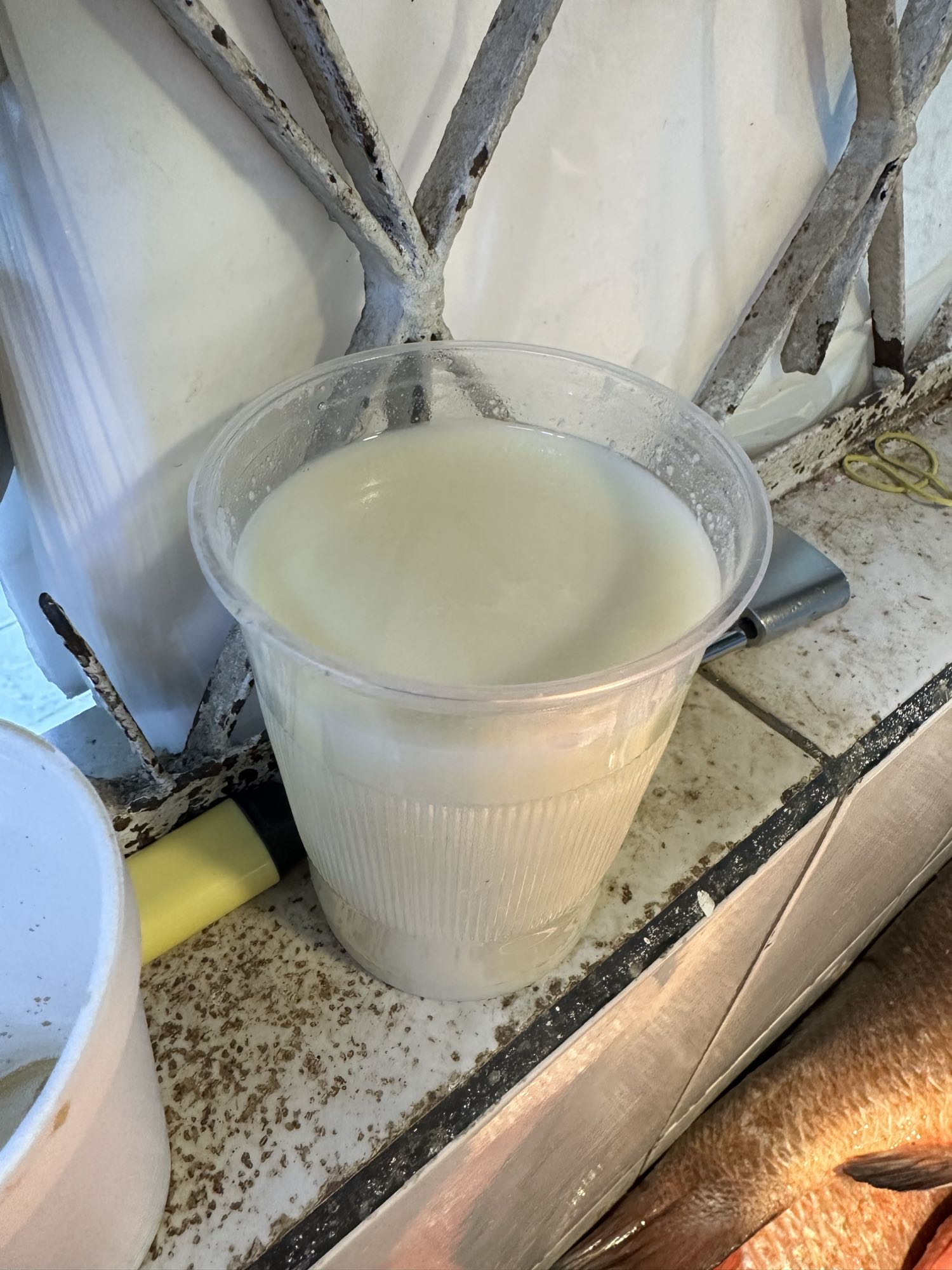 vaso de leche entera