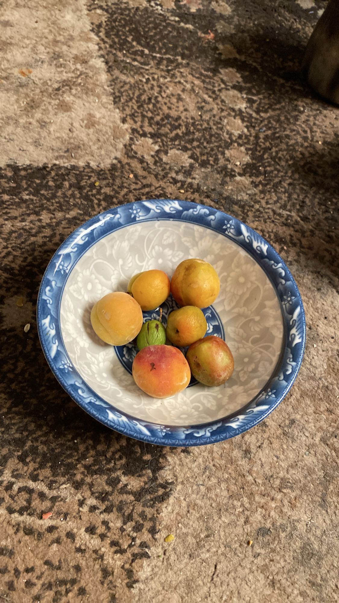 فواكه صيفية طازجة