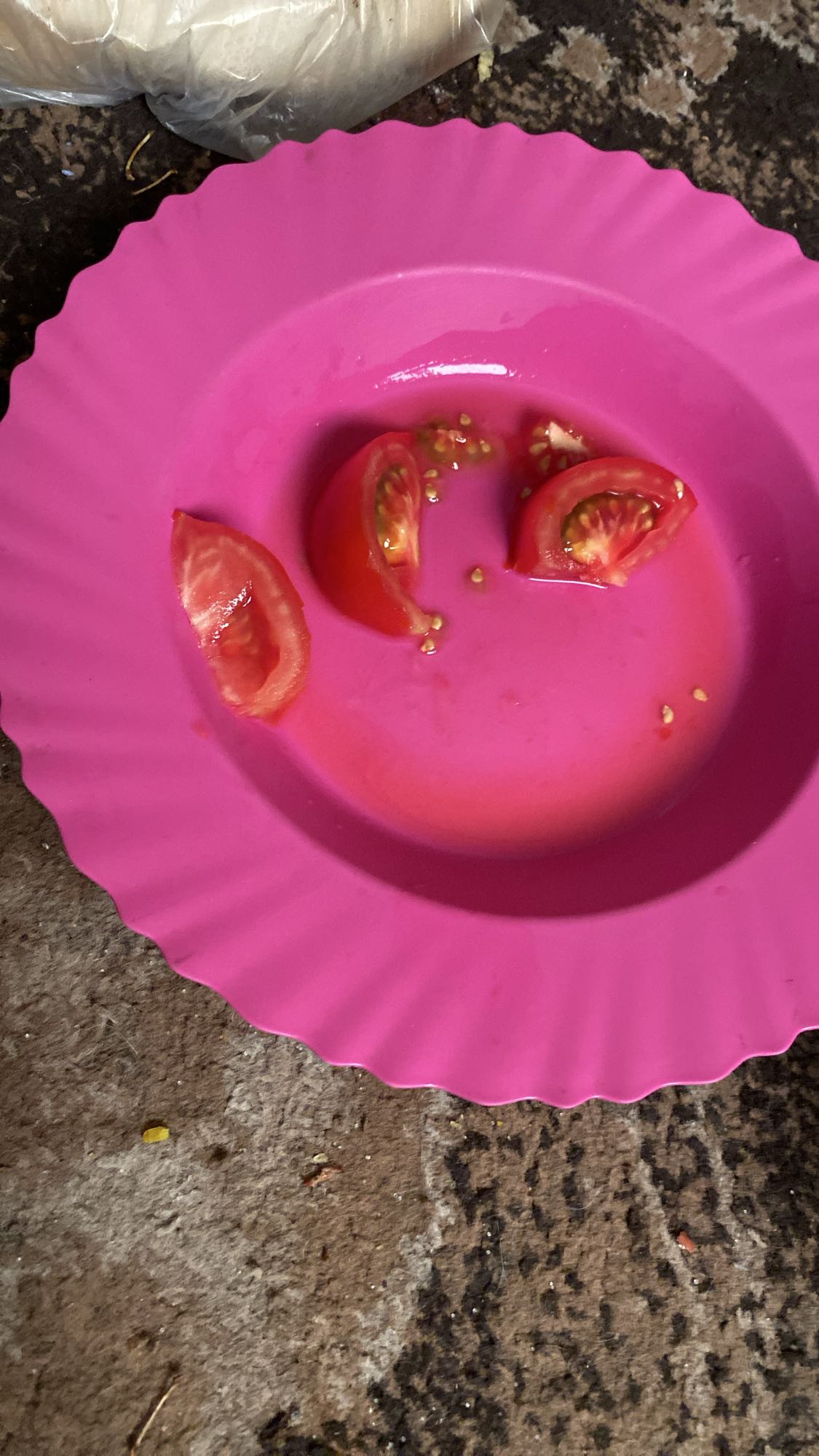 شرائح طماطم