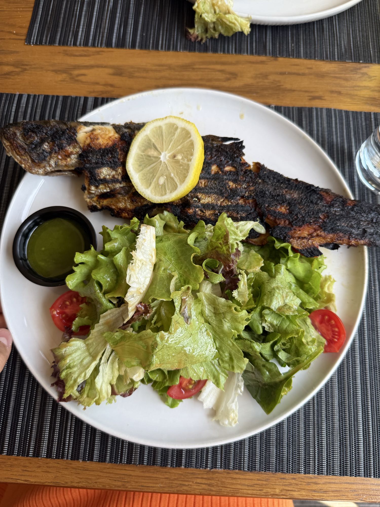 Grilled Fish with Salad