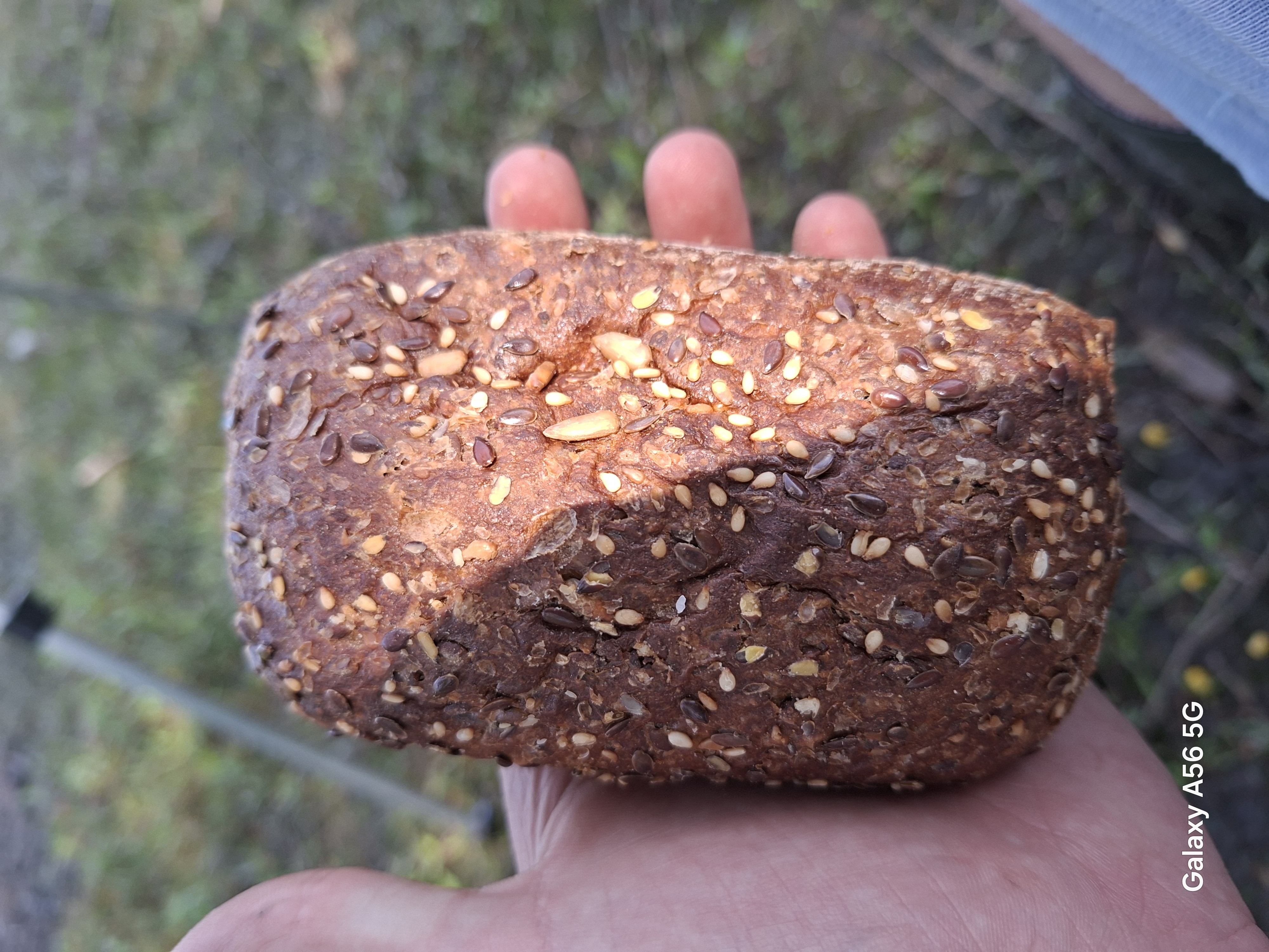 Mehrkornbrötchen