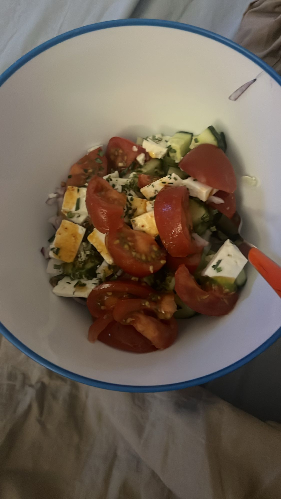 Salade grecque fraîche