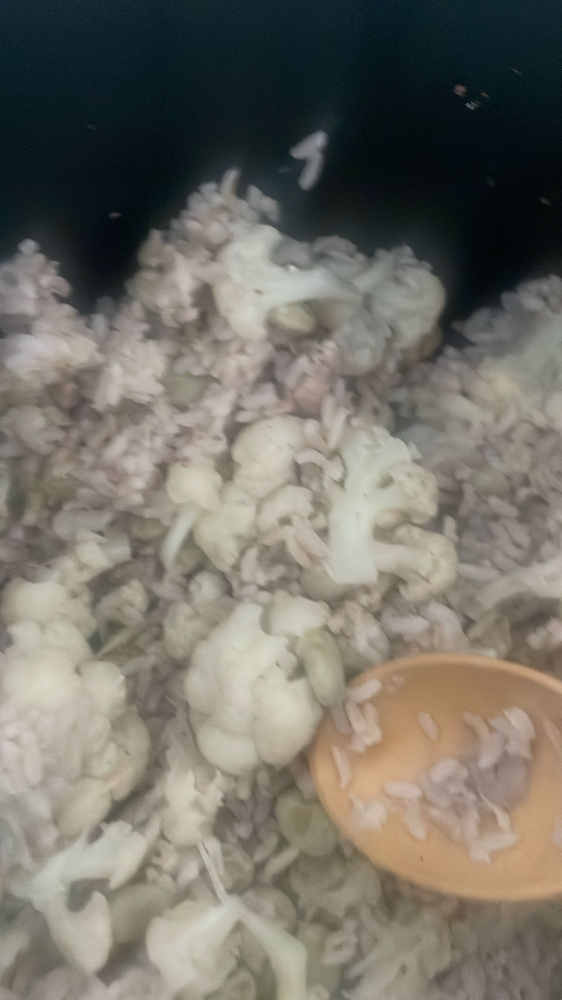 Bloemkoolrijst met zaden