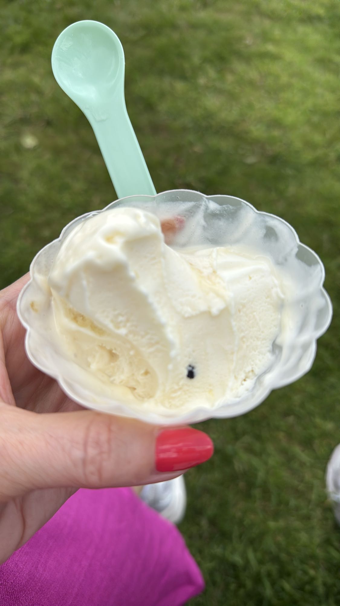 Yoghurt ijs mango passievrucht