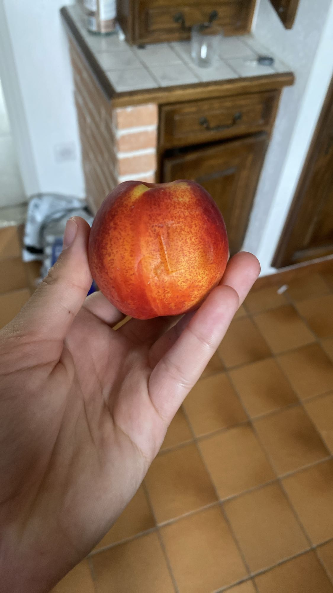 Nectarine fraîche