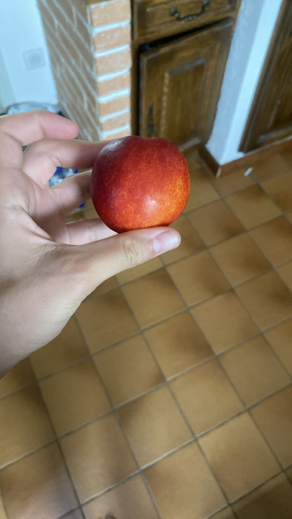 Nectarine fraîche