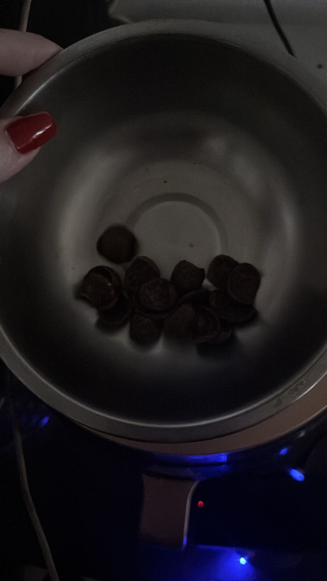 Dark Chocolate Chips