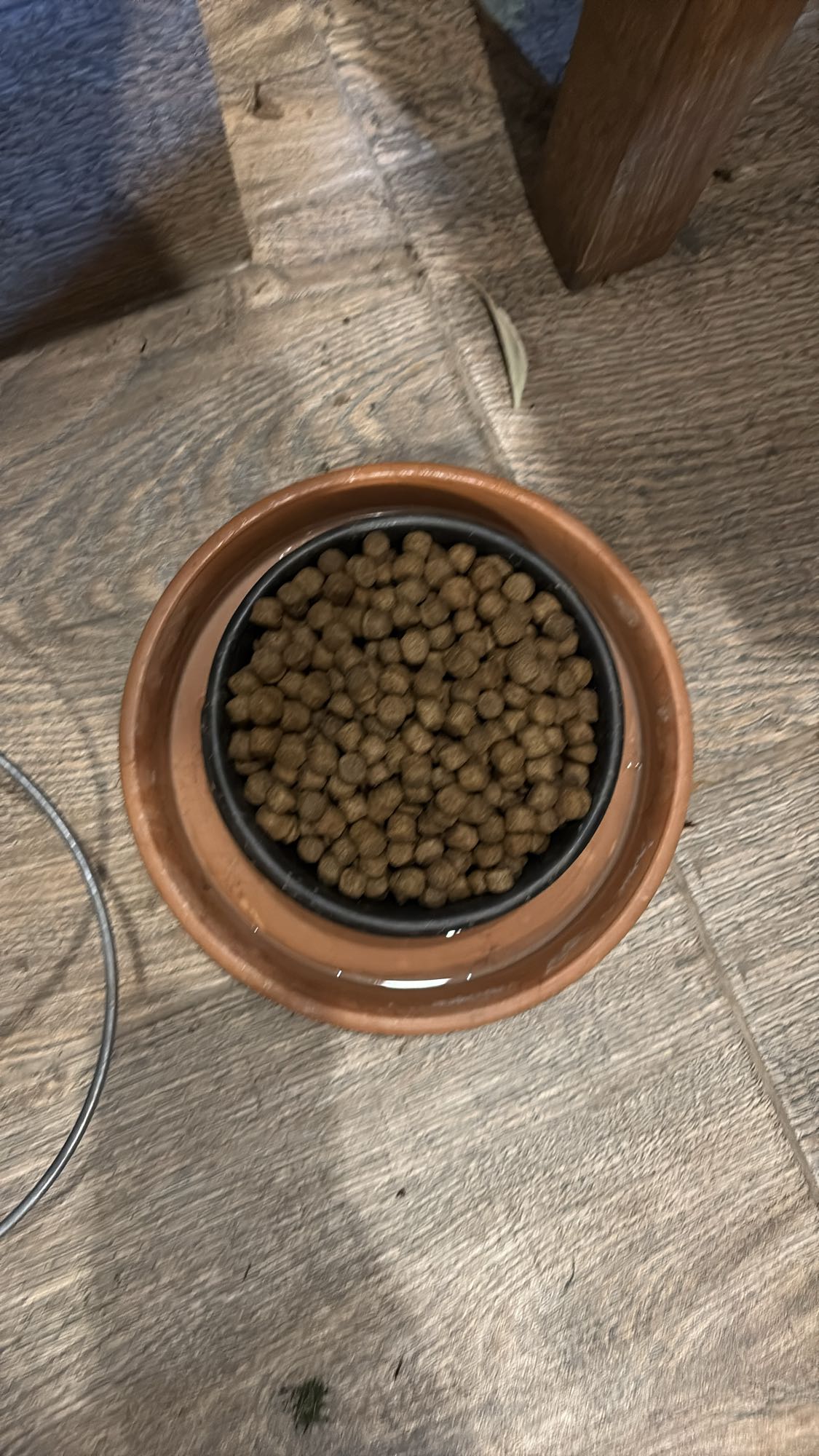 Bobițe hrană uscată