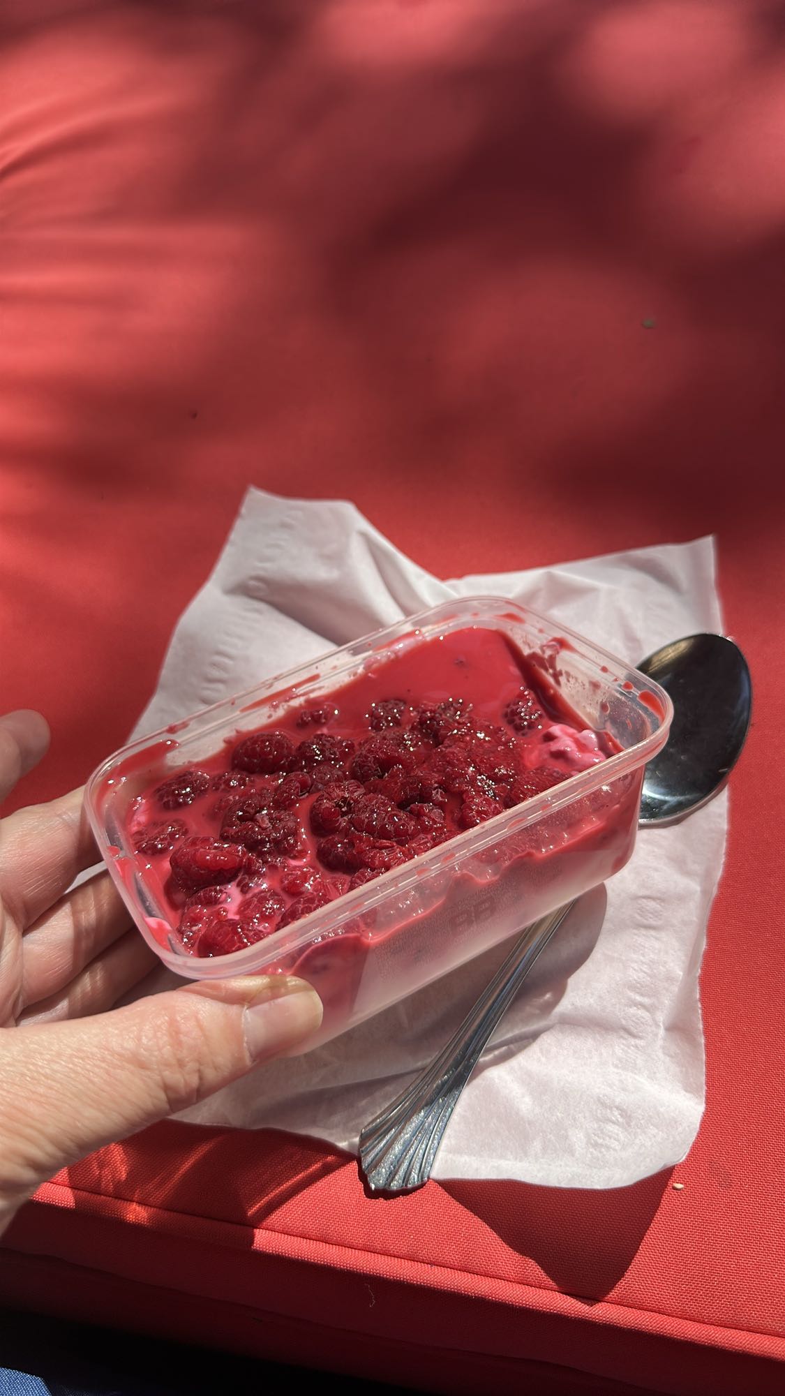 Yaourt aux framboises