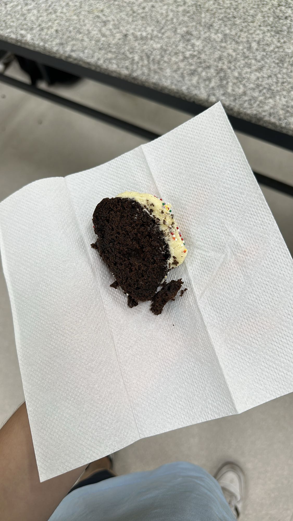 Chocolate cake slice