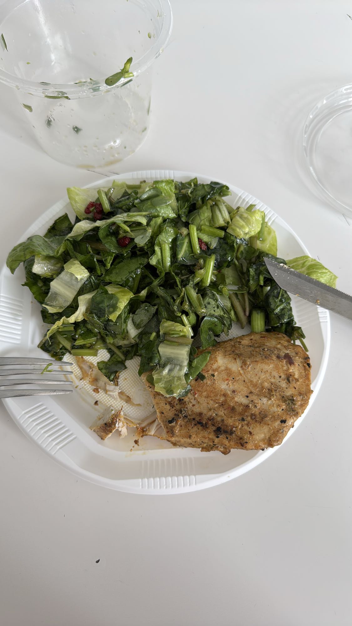 Grilled Chicken Salad Plate