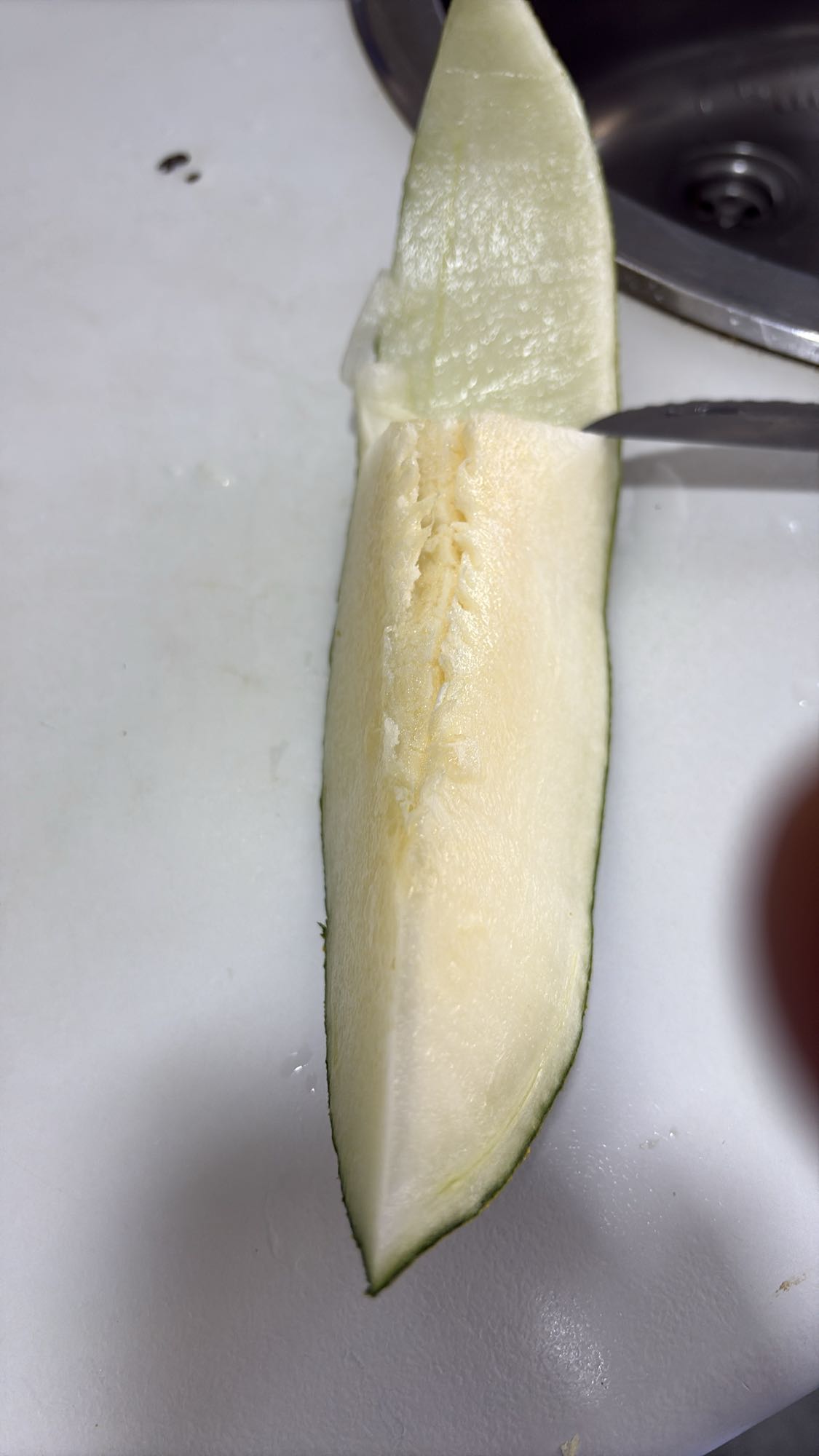 Rodaja de melón