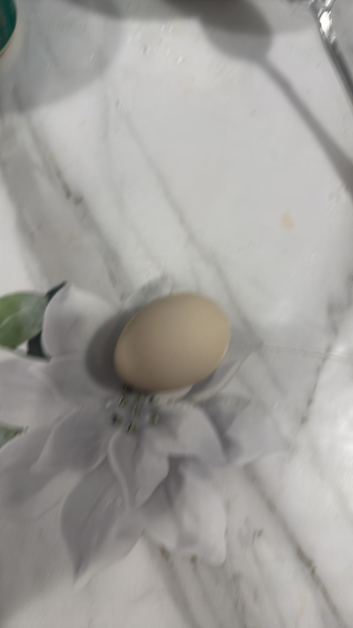 варёное яйцо