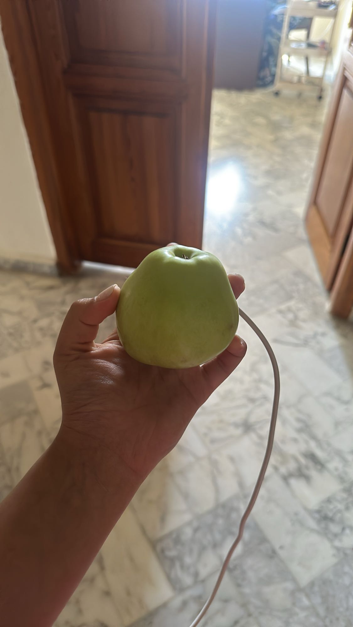 Green Apple Snack