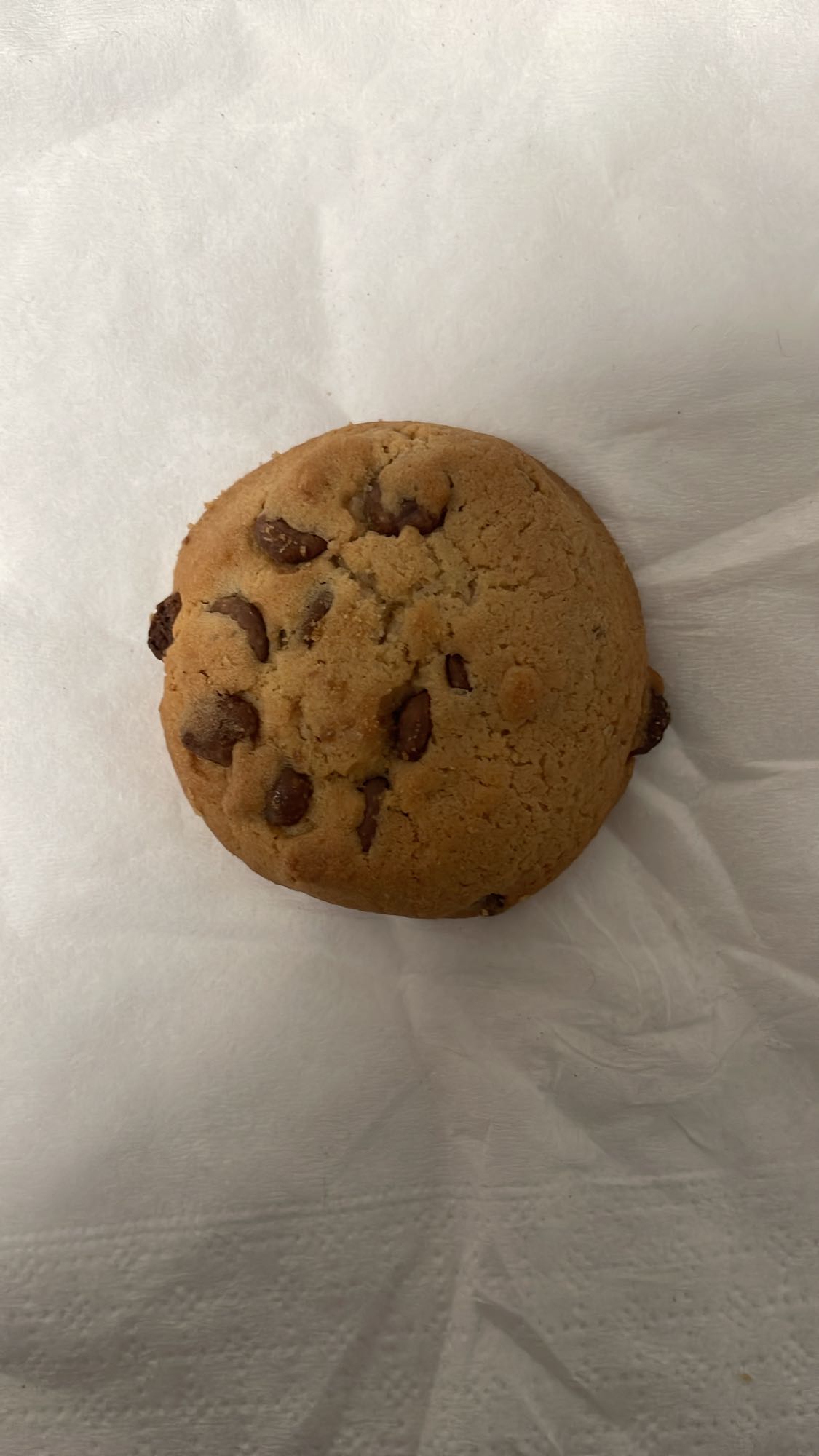 Biscuit cu ciocolată