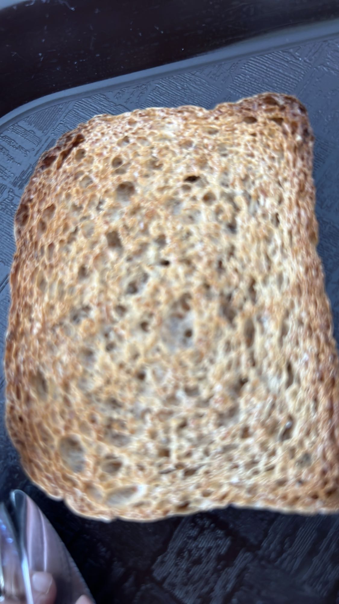 Toast de pain complet