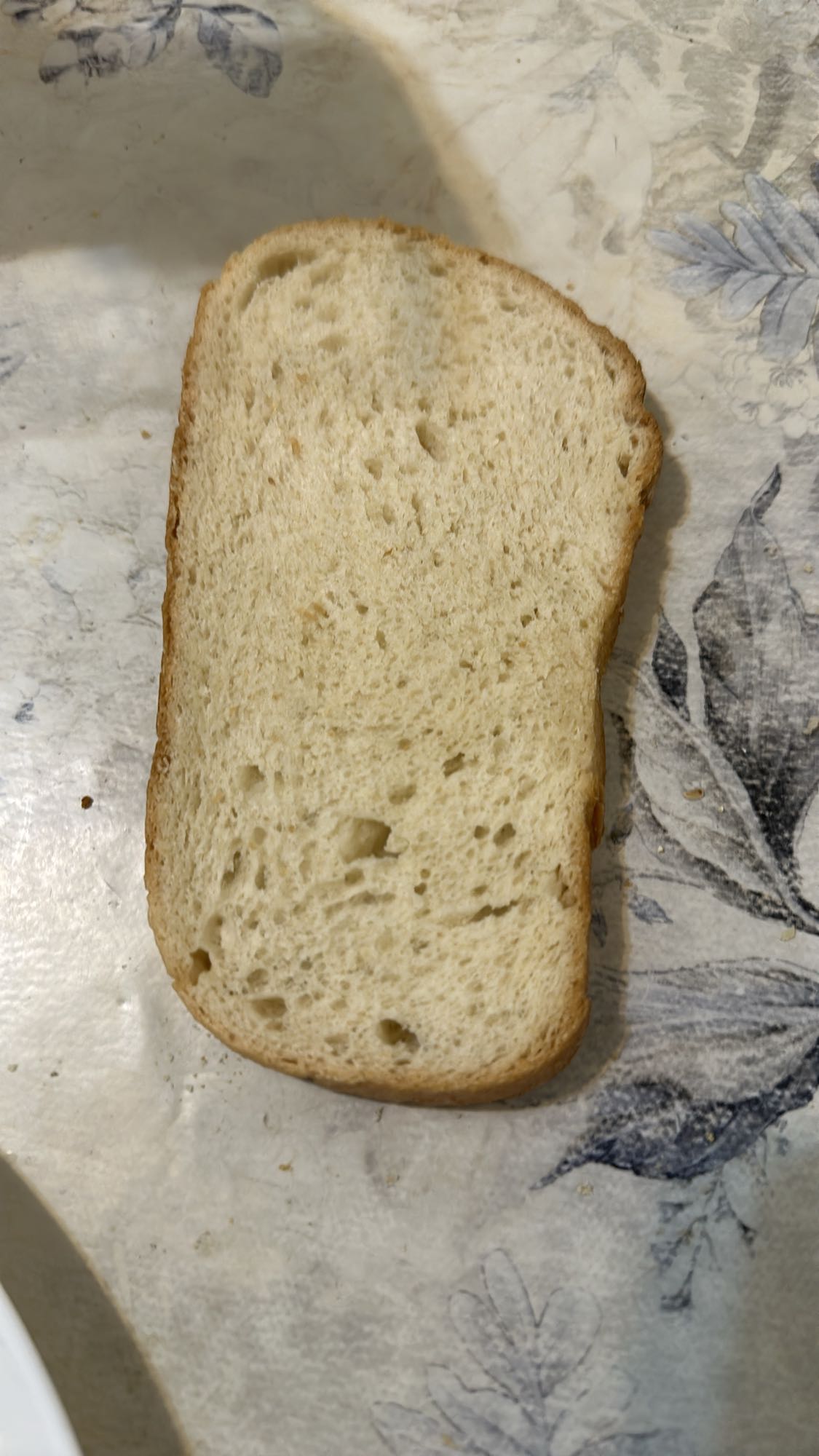 White Bread Slice