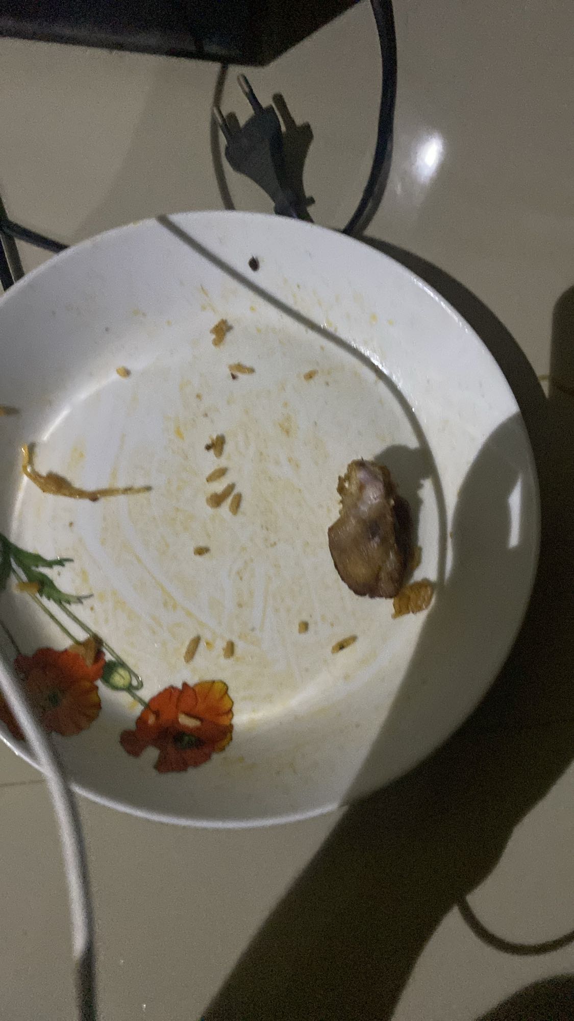 Leftover rice and meat
