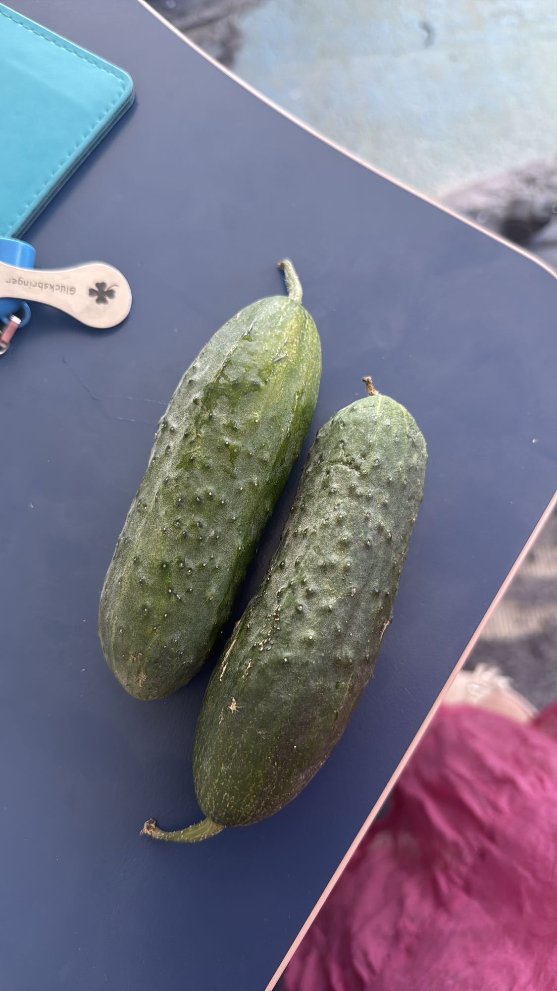 Castraveți proaspeți