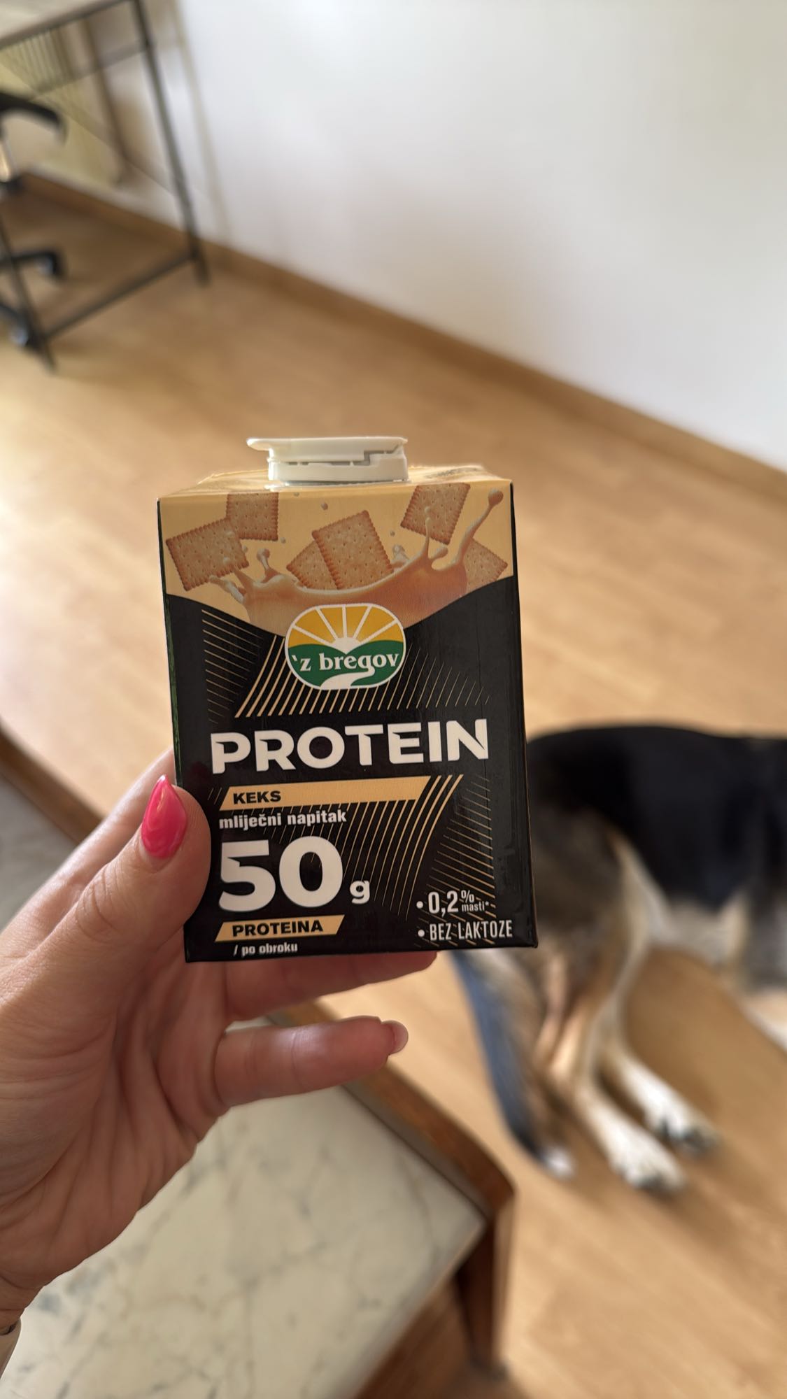Protein milk drink