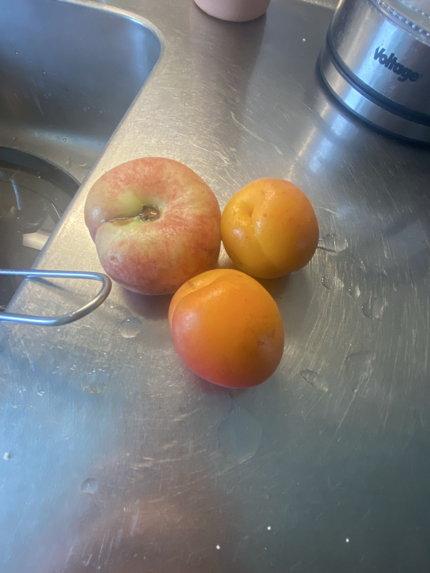 فاكهة طازجة