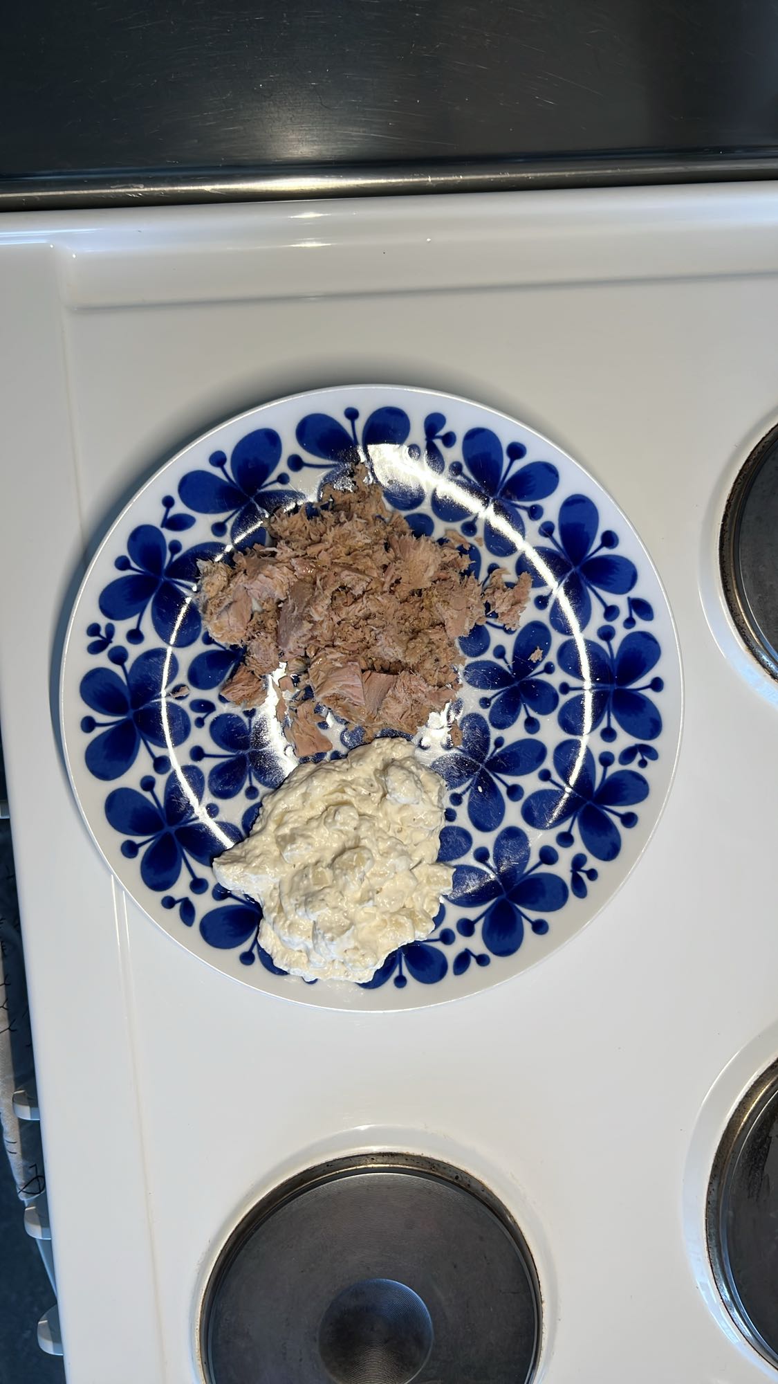 Tonfisk med kesoröra